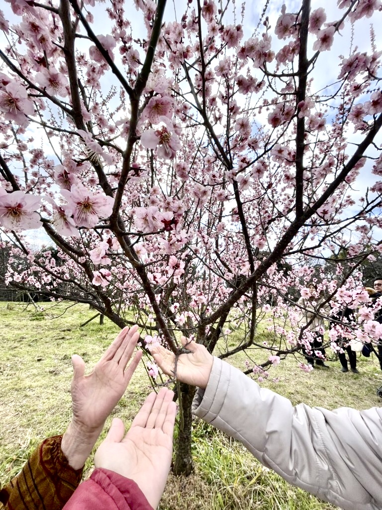 イベント画像