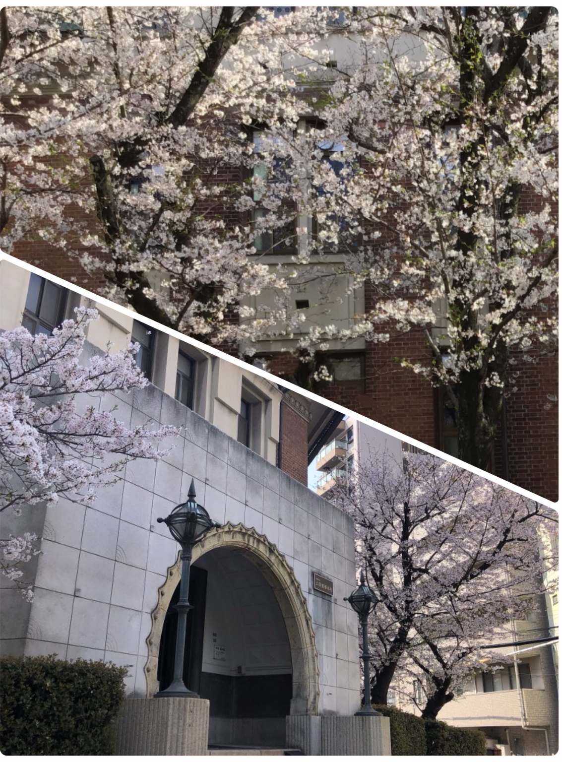 イベント画像