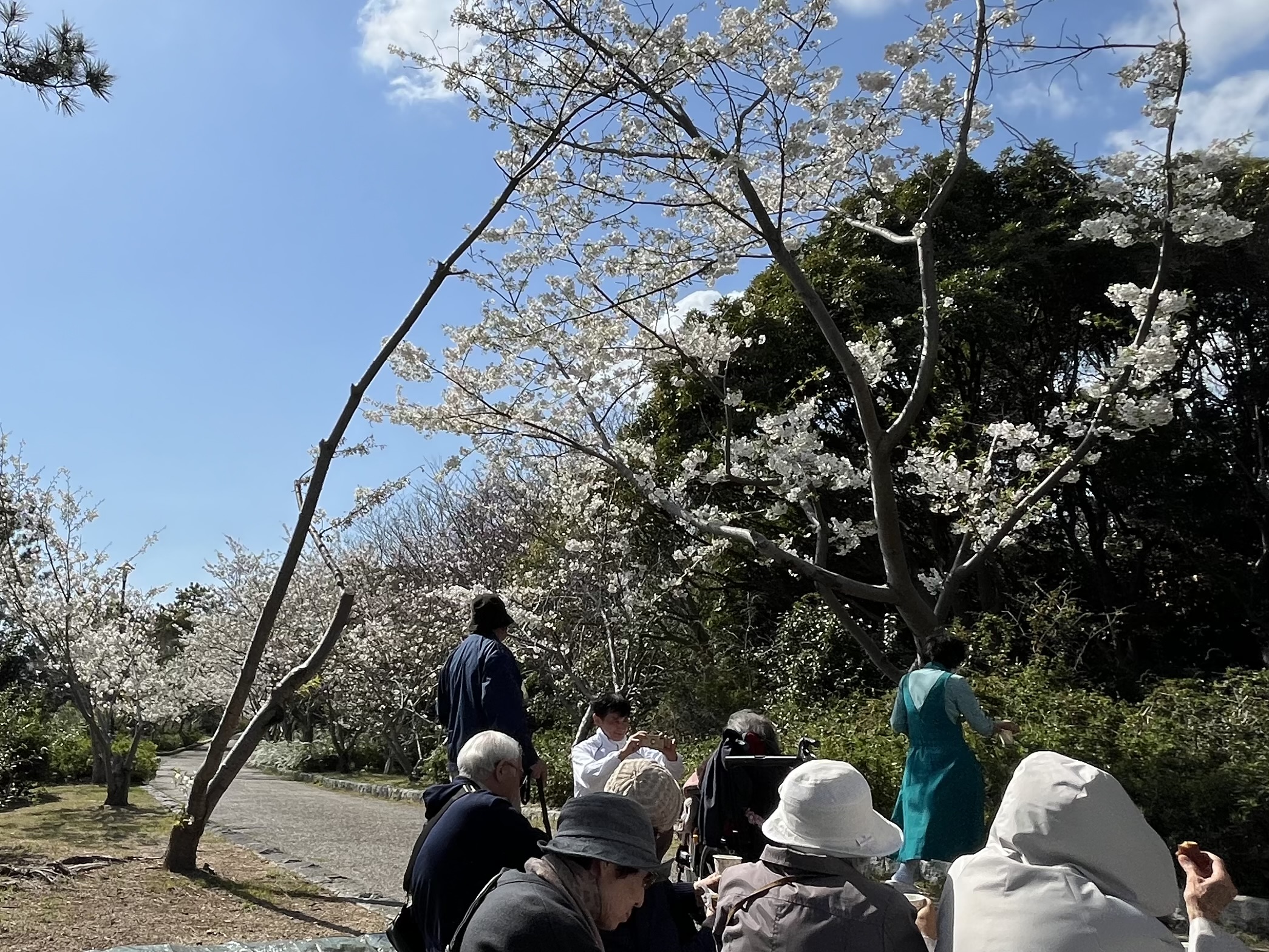 イベント画像