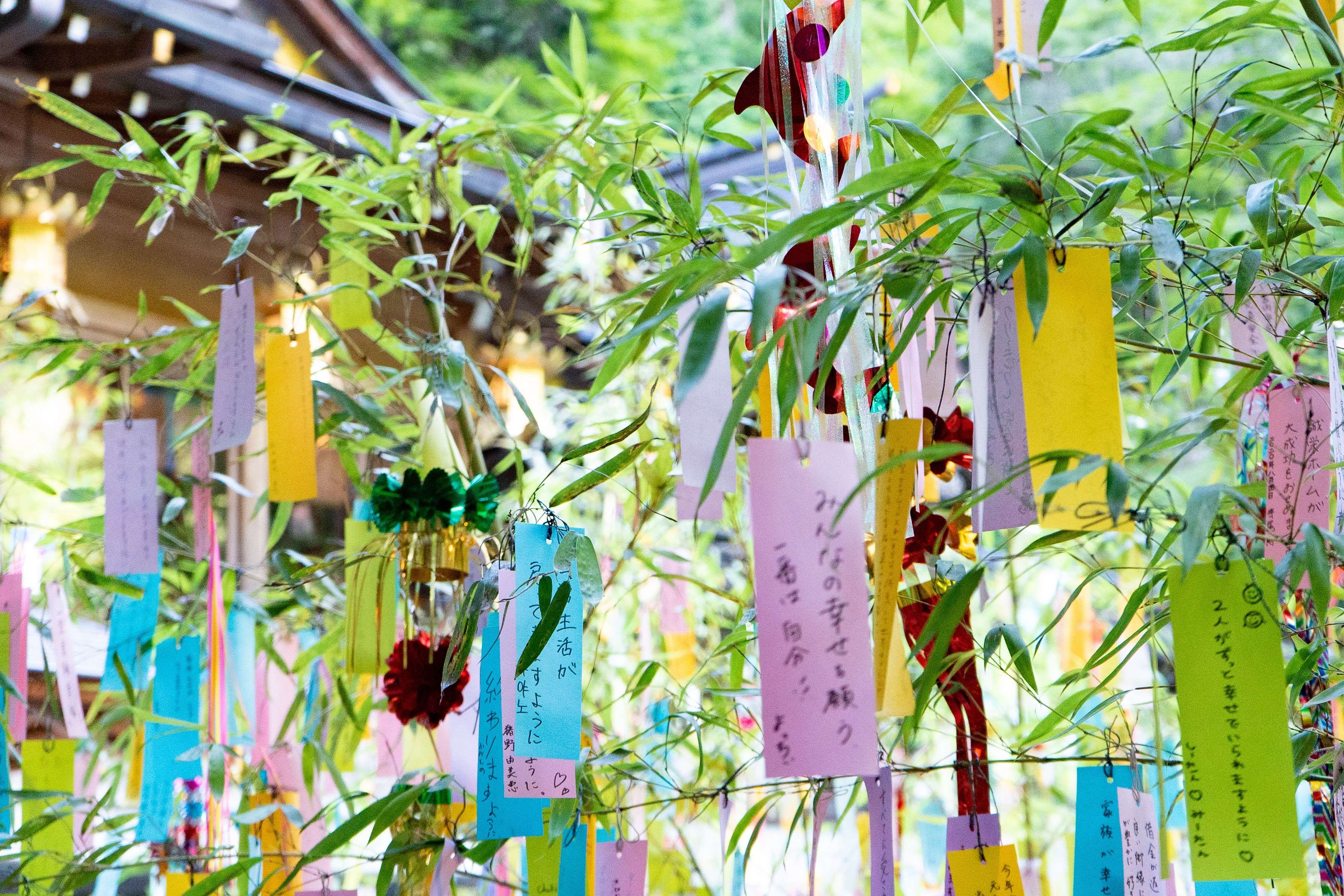 イベント画像