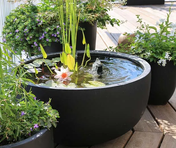DIY-Idee: Miniteich anlegen