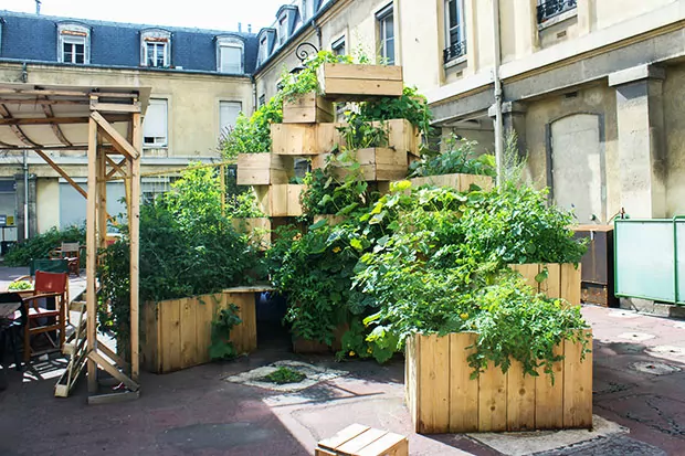 Urban Gardening Hochbeete