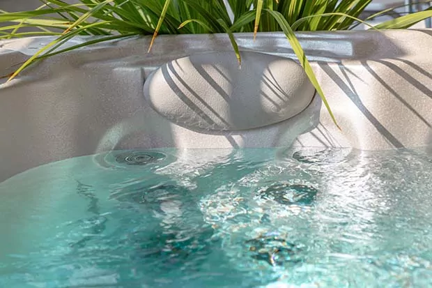 Whirlpool pflegen Arten