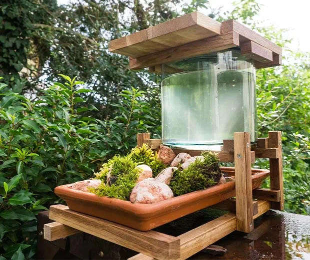 Bienentränke für den Garten bauen.