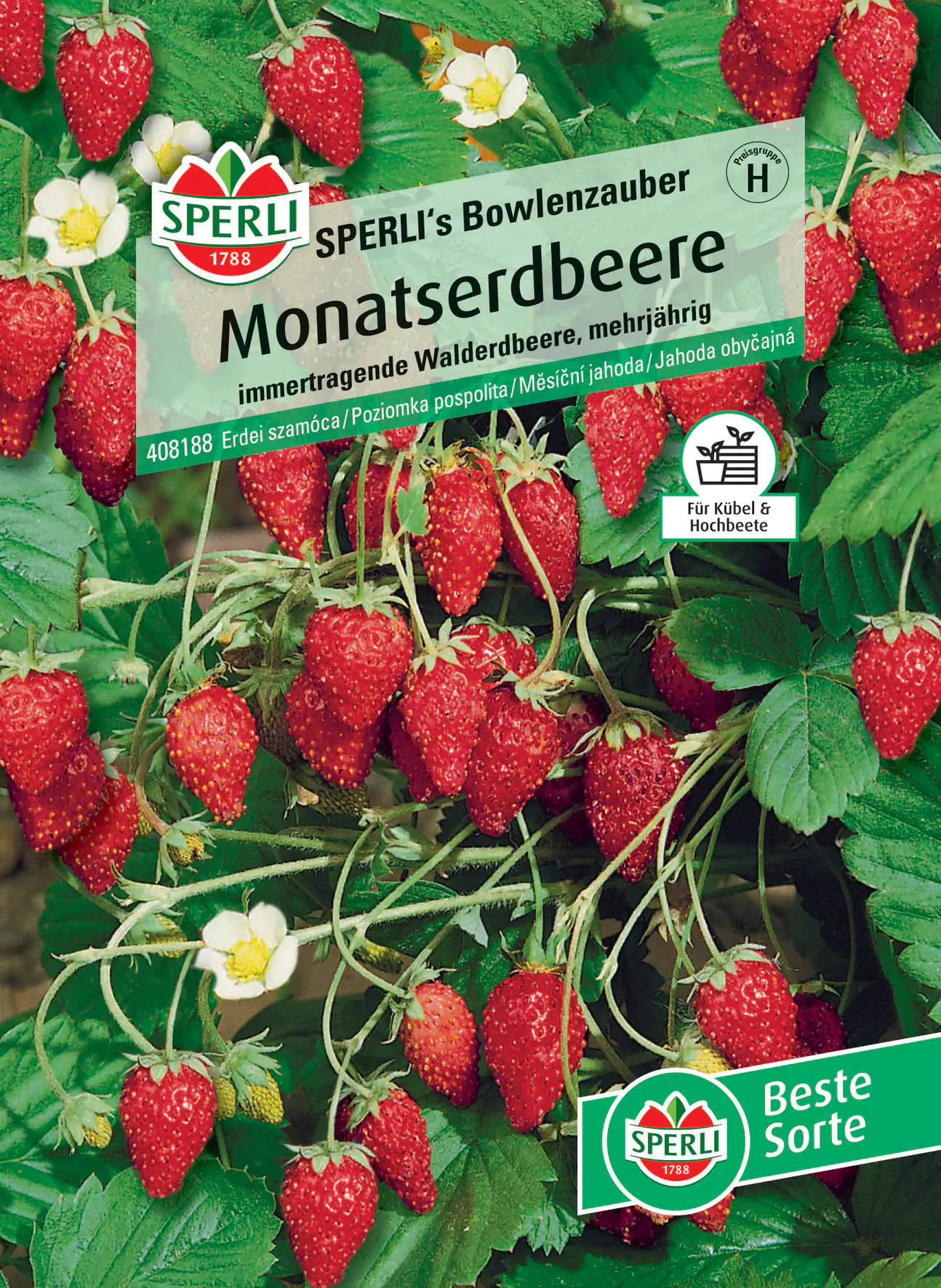 Sperli Monatserdbeere Sperli 's Bowlenzauber
