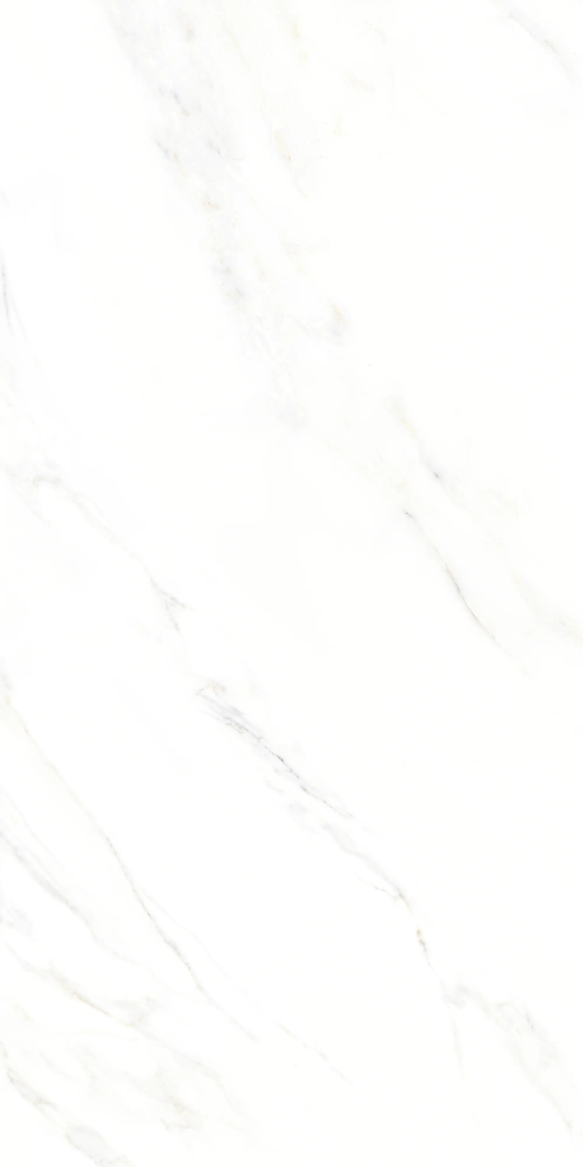 Bodenfliese Feinsteinzeug Calacatta 30 x 60 cm weiß
