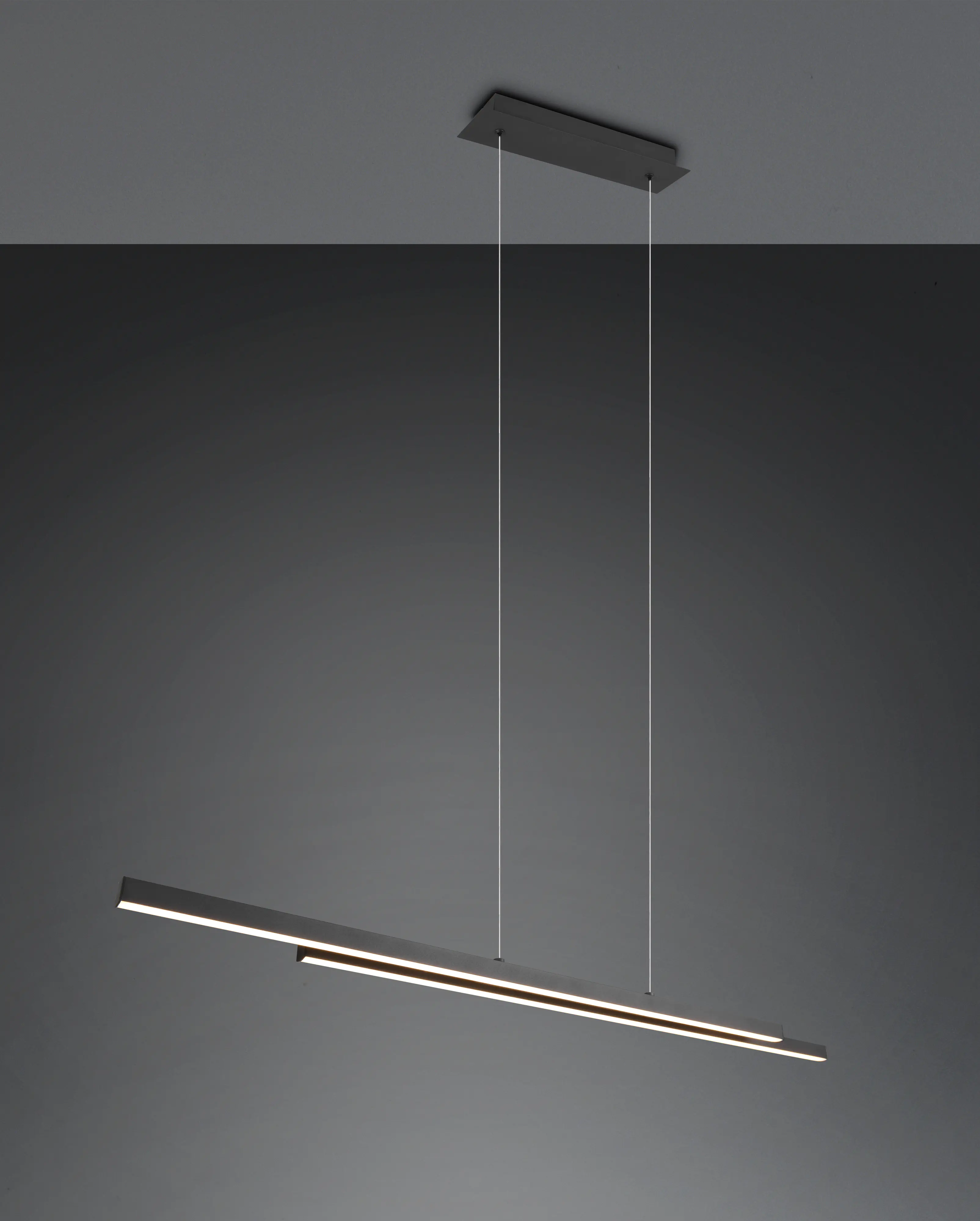 Trio Leuchten LED Pendelleuchte Odio 28W schwarz