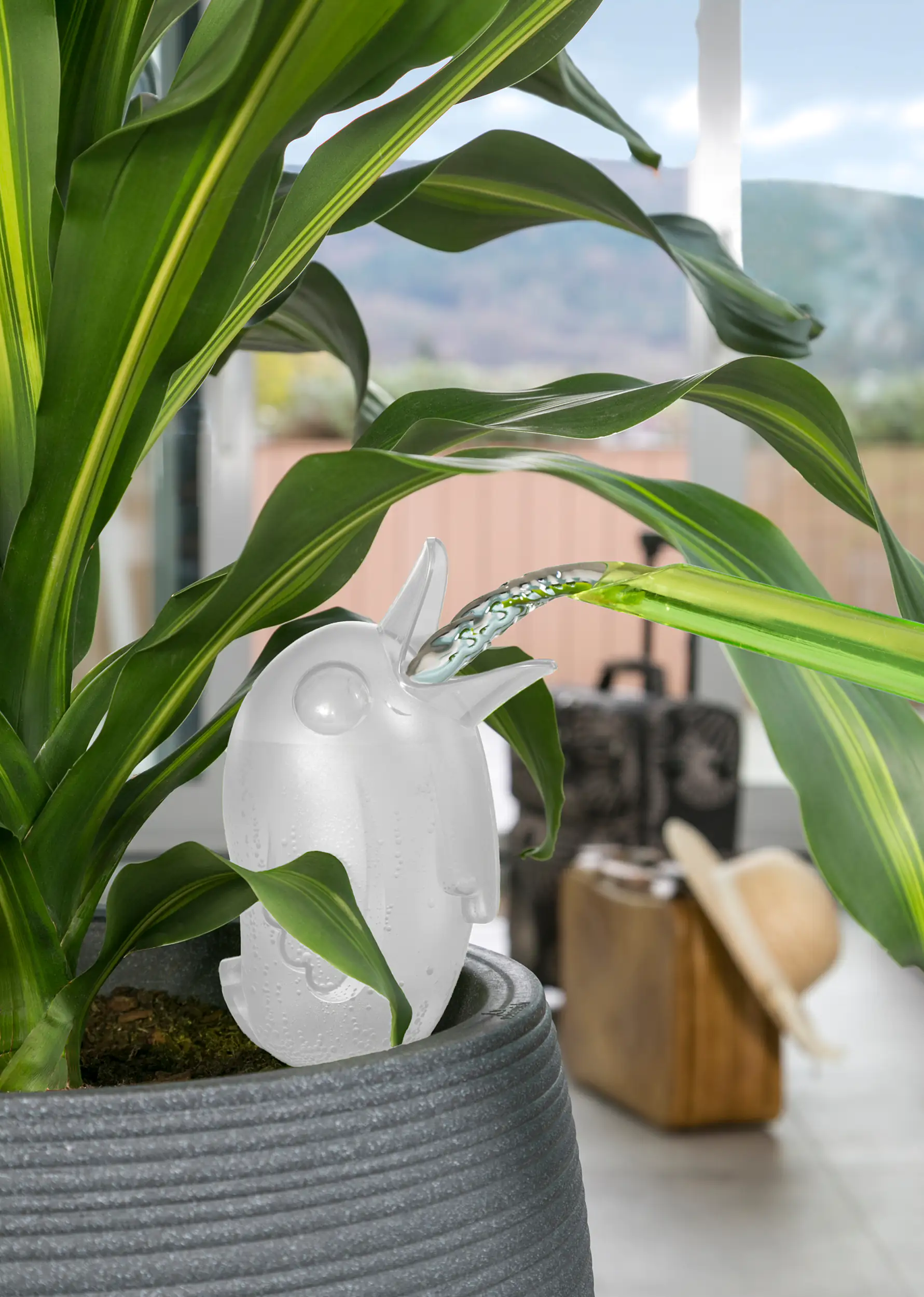 Scheurich Bewässerungshilfe Bördy groß transparent 20 cm