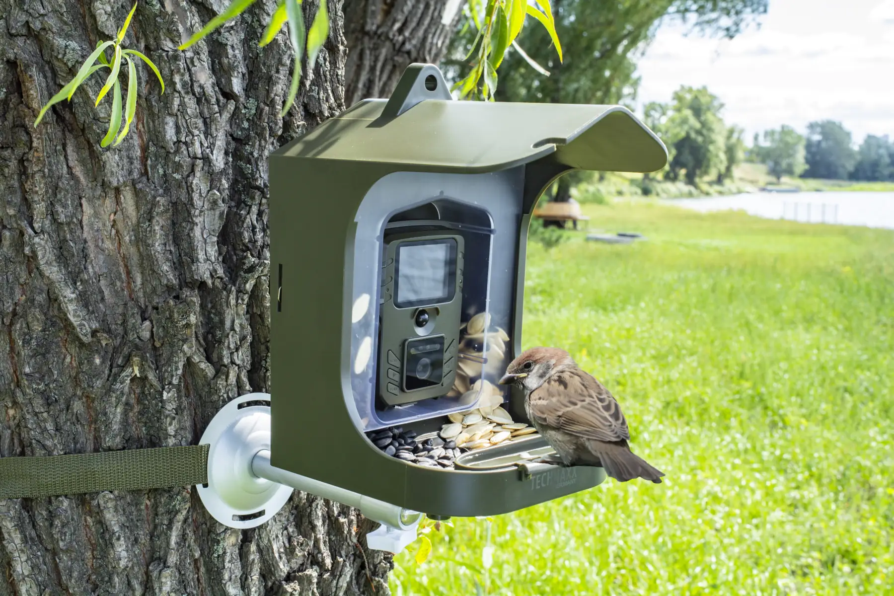 Technaxx Vogelkamera Birdcam TX-165 Full HD, Nachtmodus