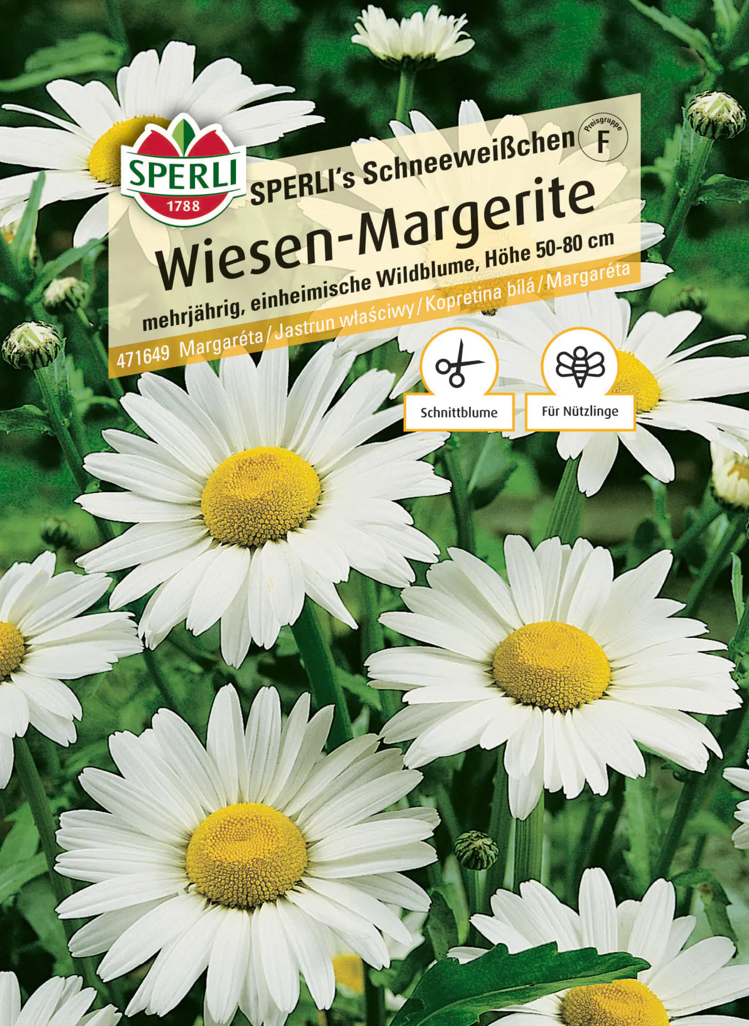 Sperli Blumensamen Wiesen-Margerite Schneeweißchen für ca. 200 Pflanzen