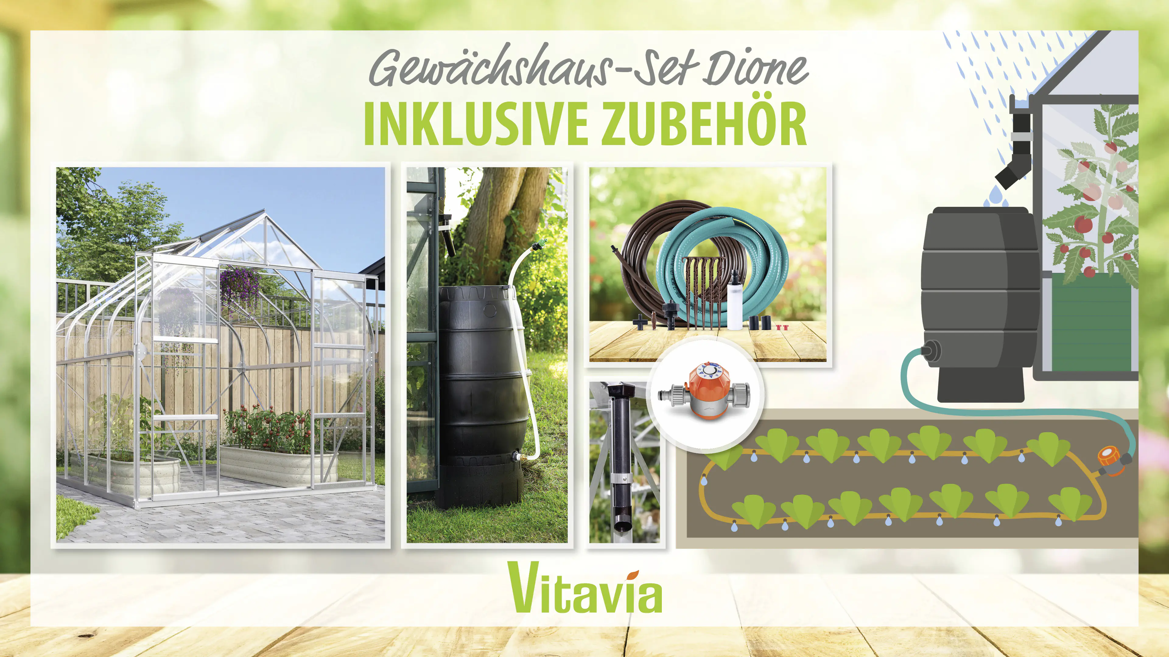 Vitavia Gewächshaus-Set Dione 6700 ESG 3 mm alu 254 x 254 cm 