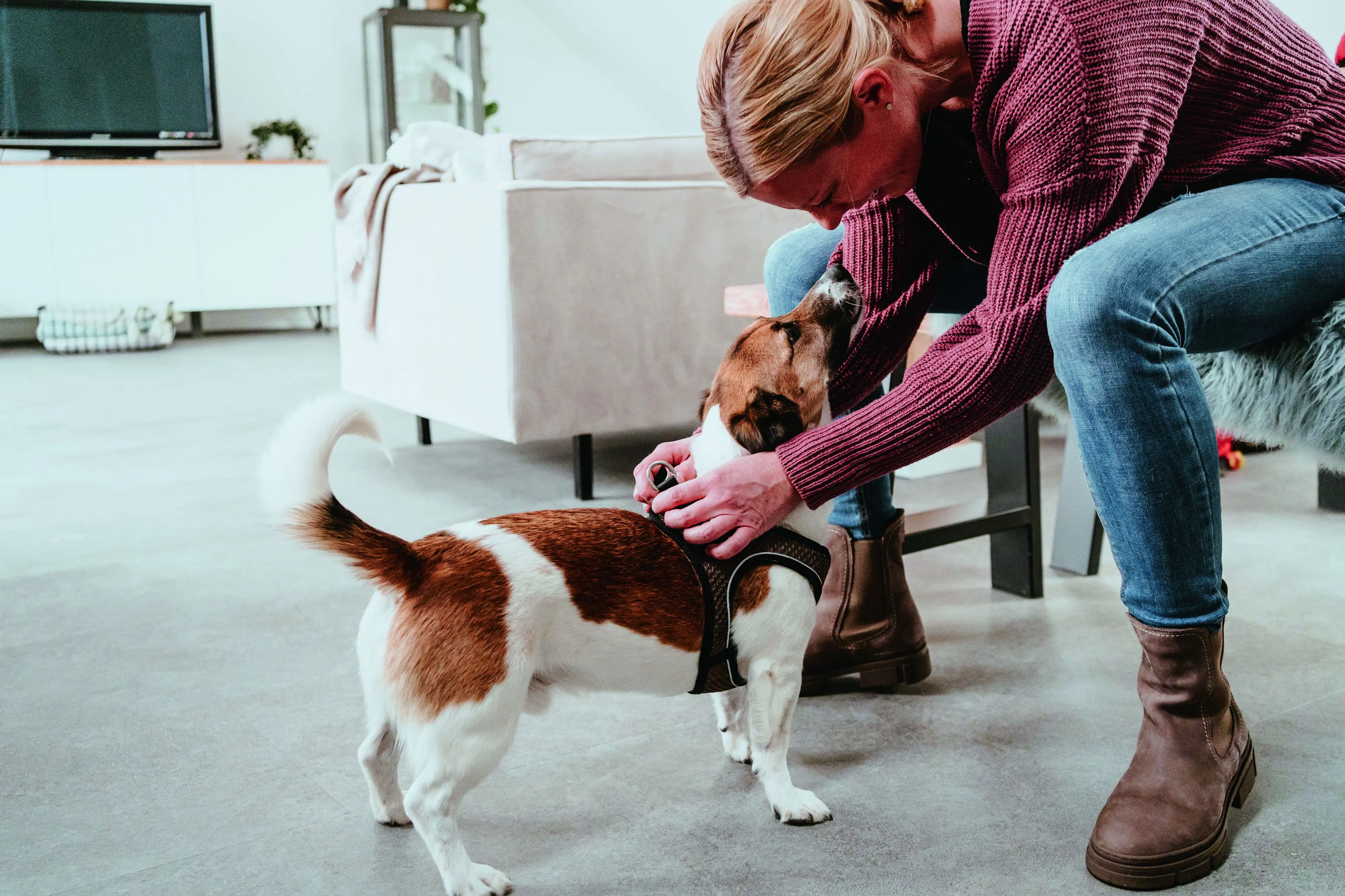 Hunter Hundegeschirr Hilo Comfort S-M braun