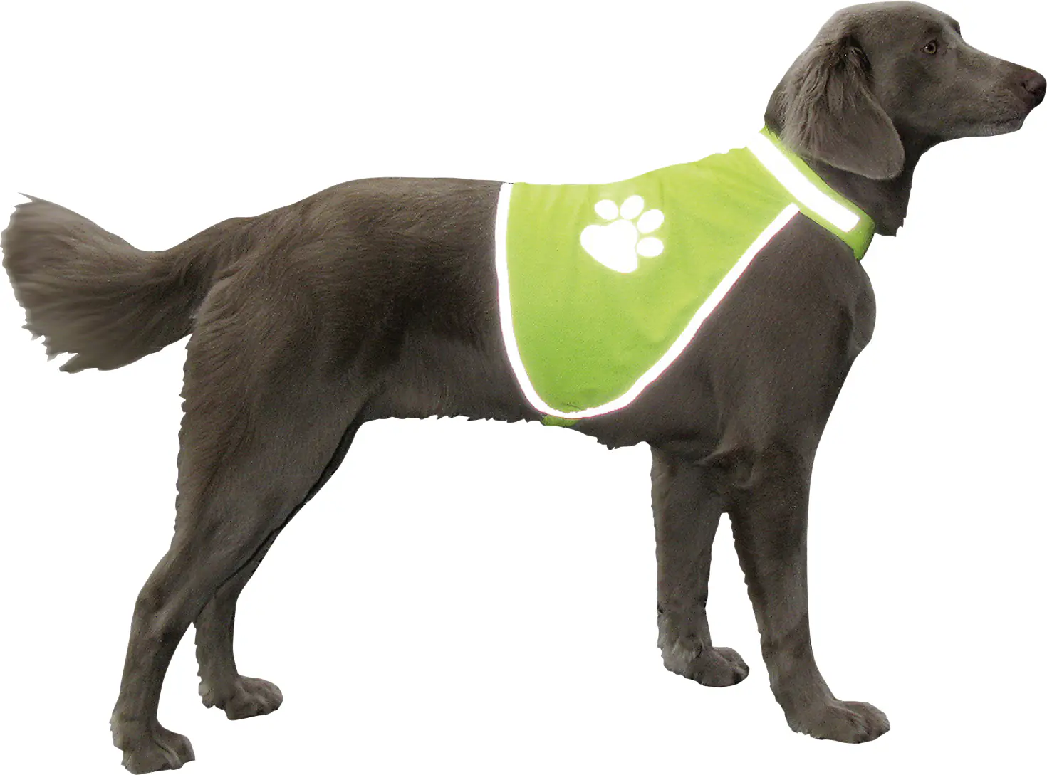 Nobby Sicherheitsweste Hund 42 - 50 cm neon