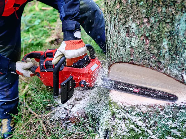 Einhell Akku-Kettensäge GP-LC 36/40 Li BL-Solo 40 cm Schwertlänge ohne Akku und Ladegerät