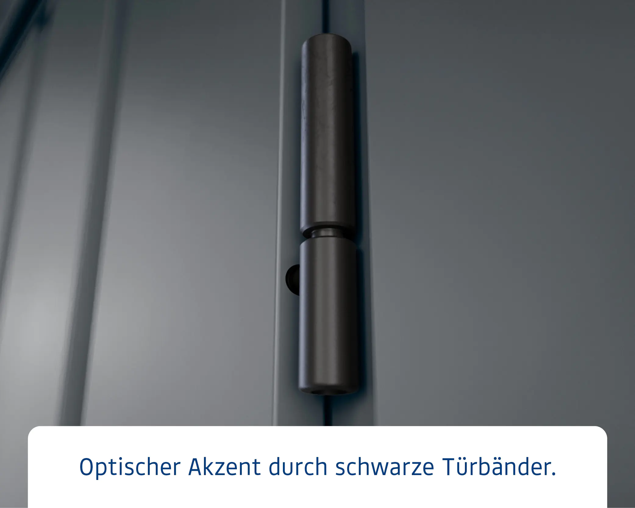 EcoStar Metallgerätehaus Euroline EFD14 LB anthrazit 310 x 310 cm 1-flg.