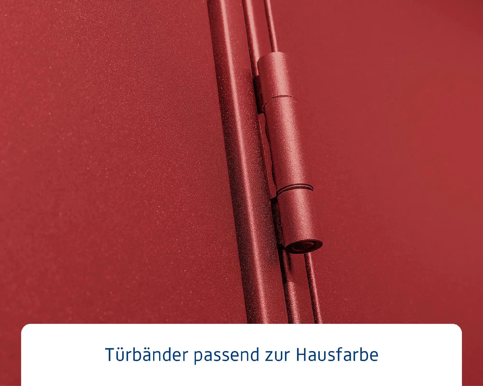 EcoStar Gerätehaus Elegant-P Typ 1 purpurrot 247,9 x 153 x 228,6 cm
