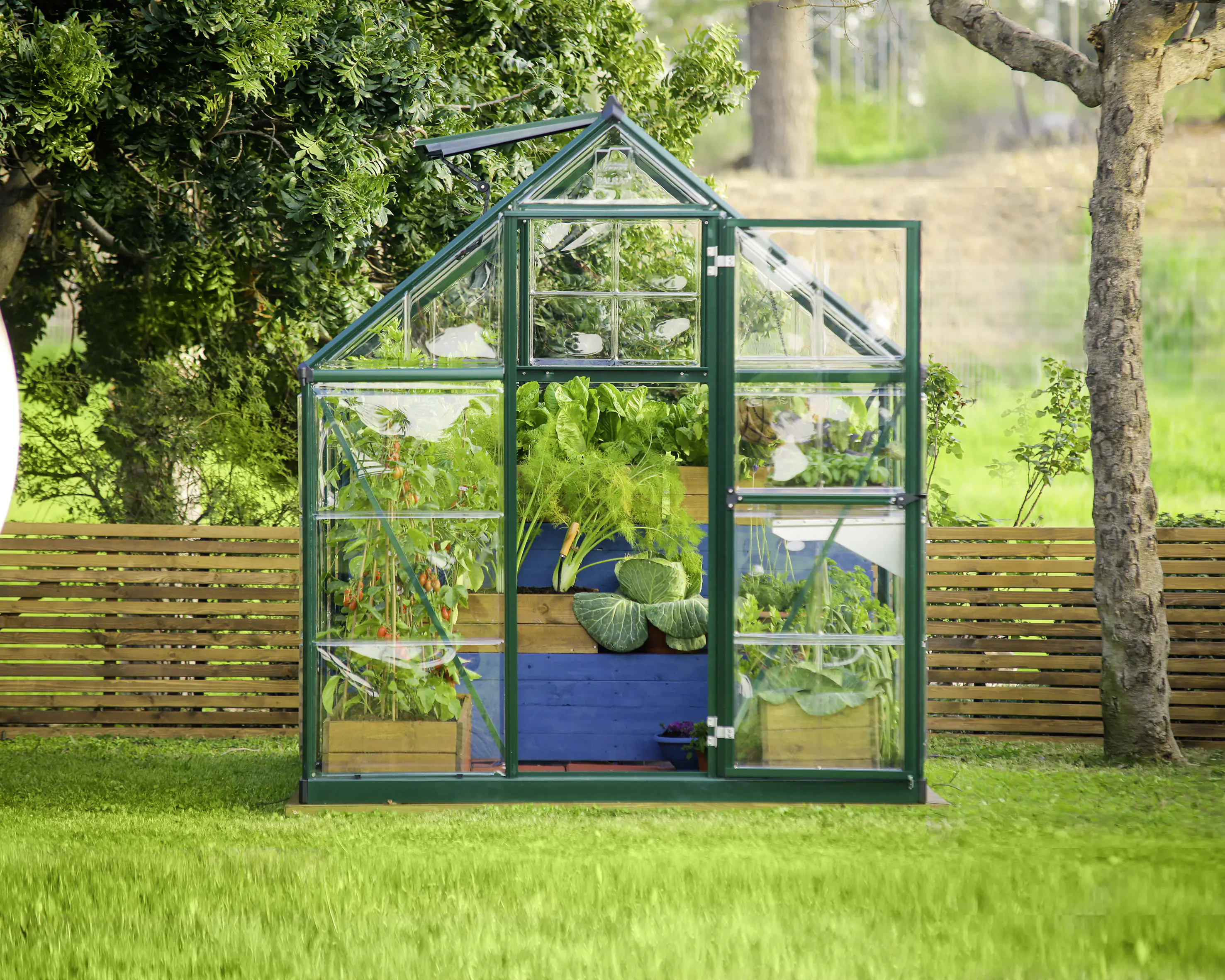 Canopia Gewächshaus Hybrid 6X8 grün 185 x 247 x 208 cm