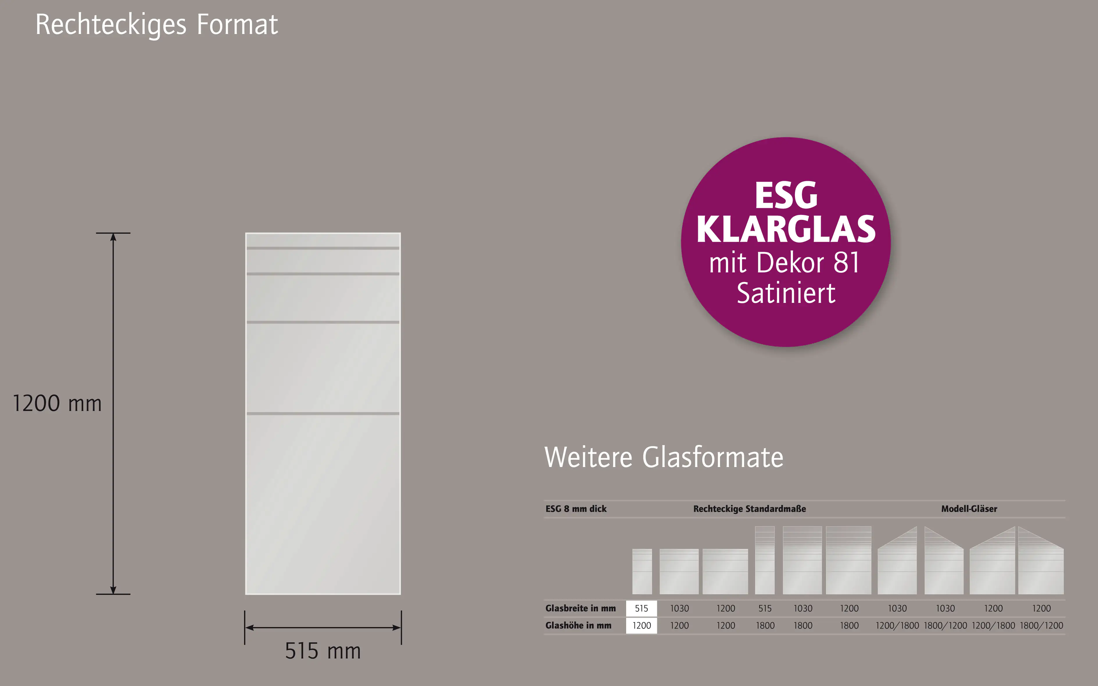 Ambiente Glaszaun Dekor 81 51,5 x 120 cm gehärtetes 8 mm Glas