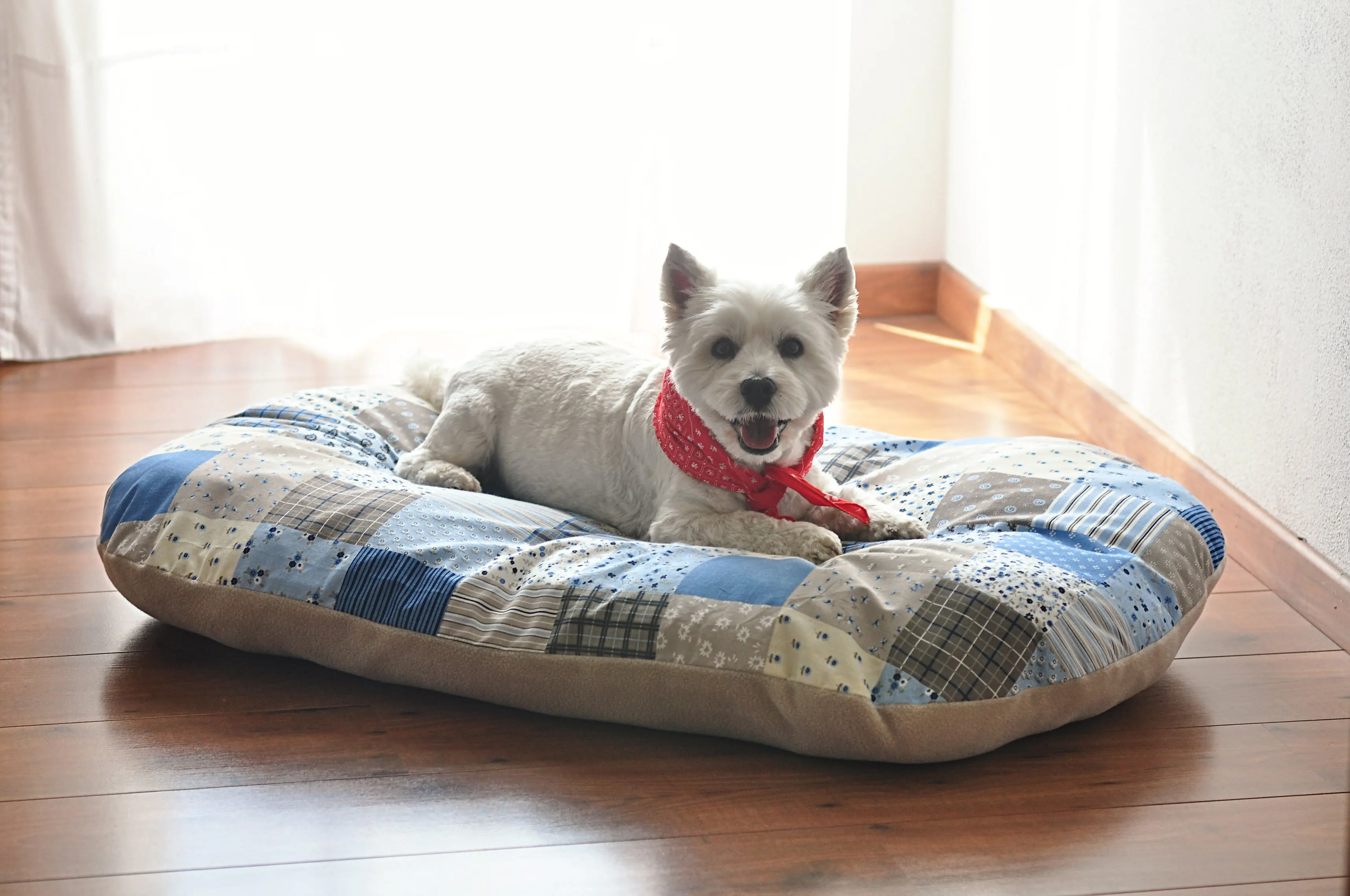 Aumüller Hundekissen Patchwork 65 x 45 x 10 cm blau beige