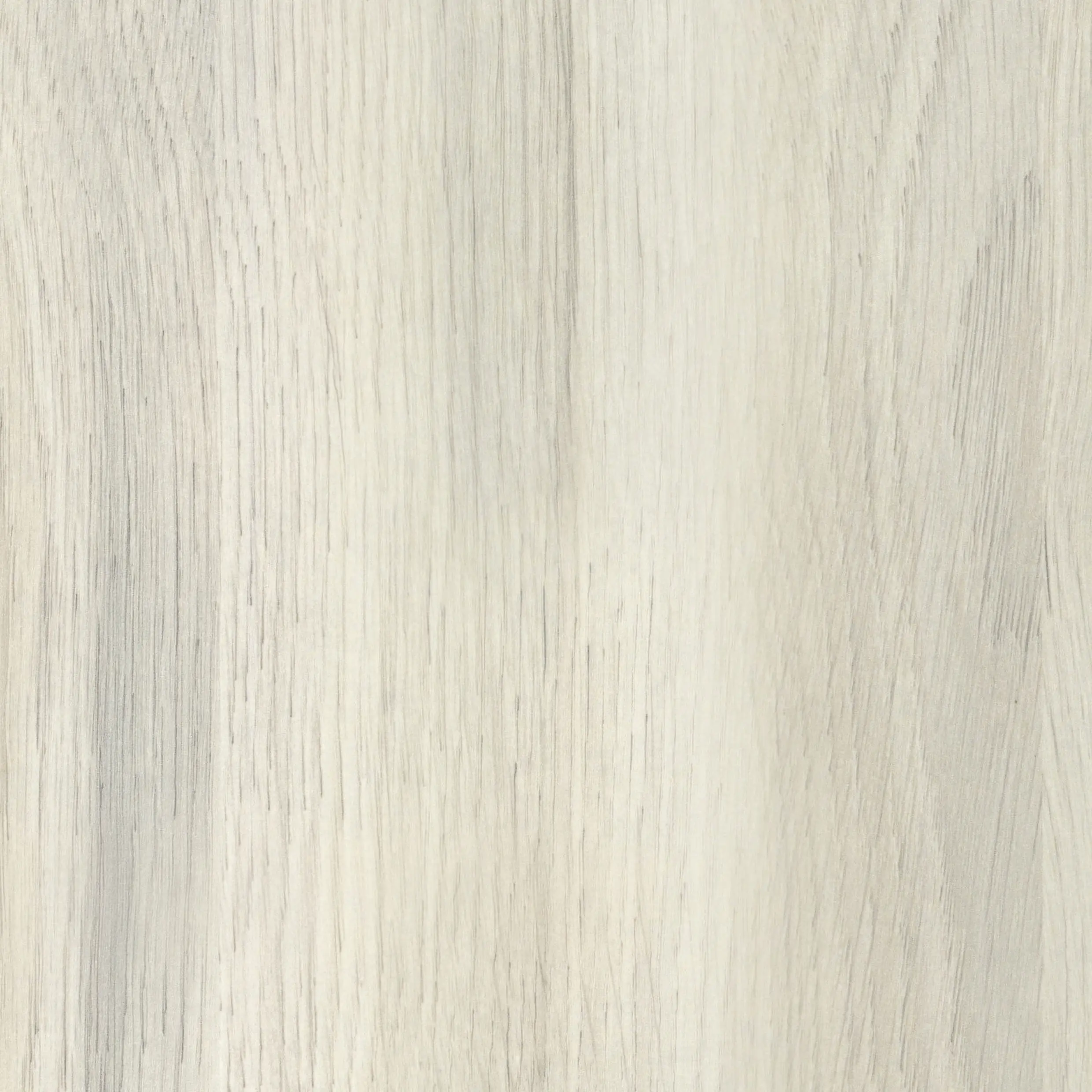 Wetwall Elite Wandpaneel  White Oak 120 x 242 cm mit Nut & Feder