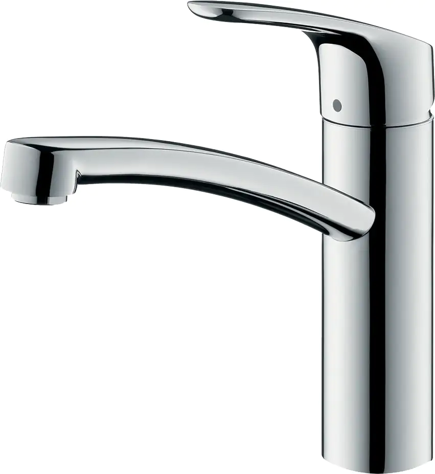 Hansgrohe Küchenarmatur Focus 160 chrom