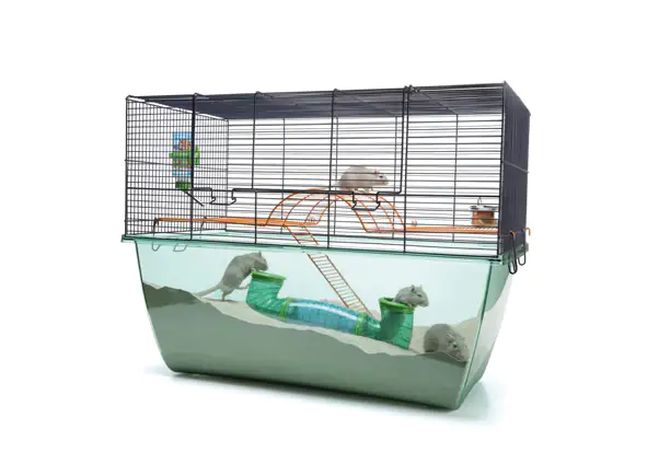 Nobby Kleintierkäfig Habitat XL 70 x 51 cm