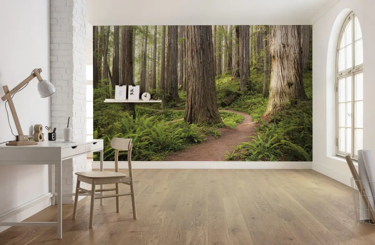 Komar Vlies Fototapete Redwood Trail 450 x 280 cm 