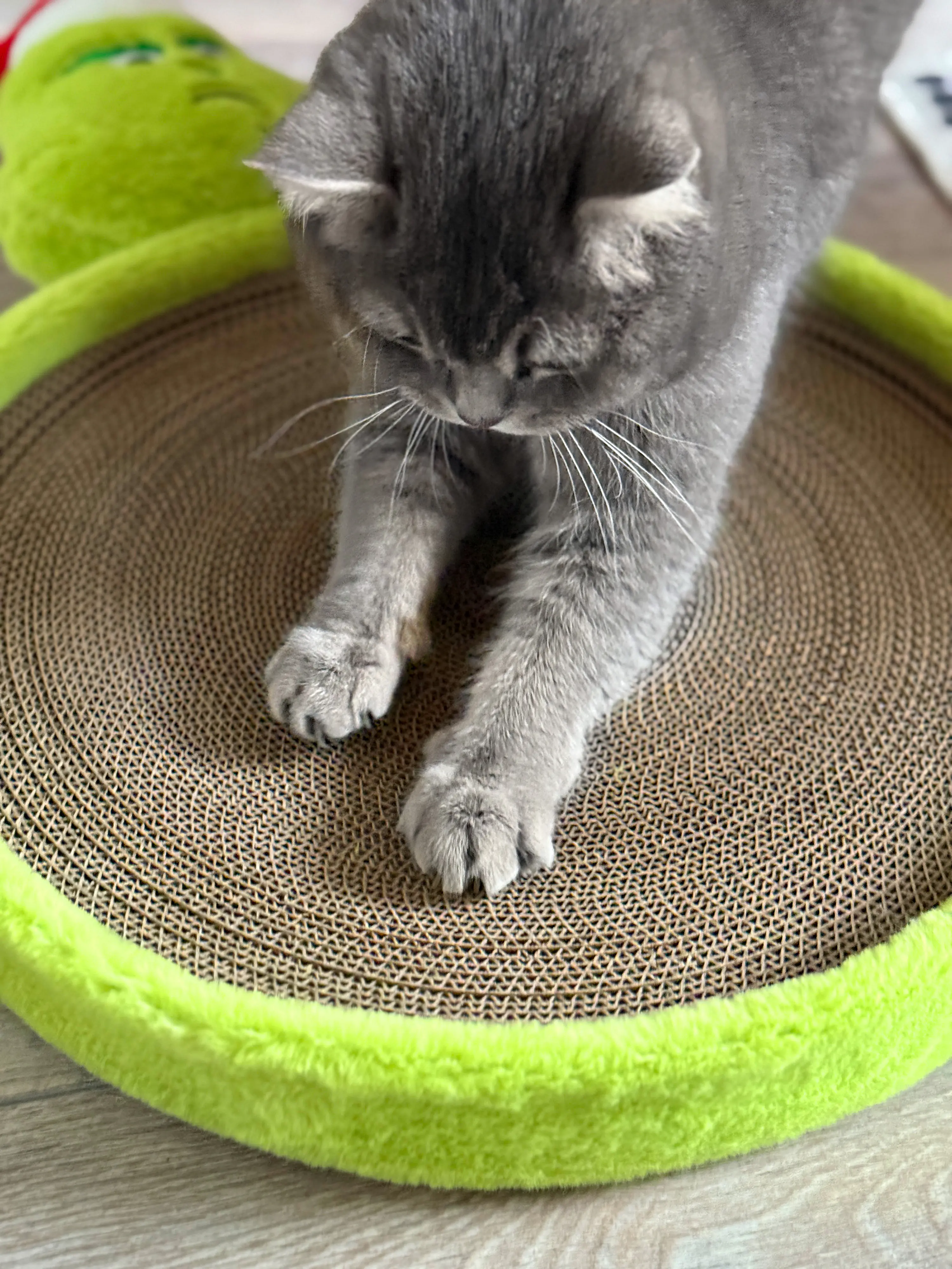 Aumüller Katzenspielzeug Weihnachtsmuffel Kratzpappe 58 cm grün