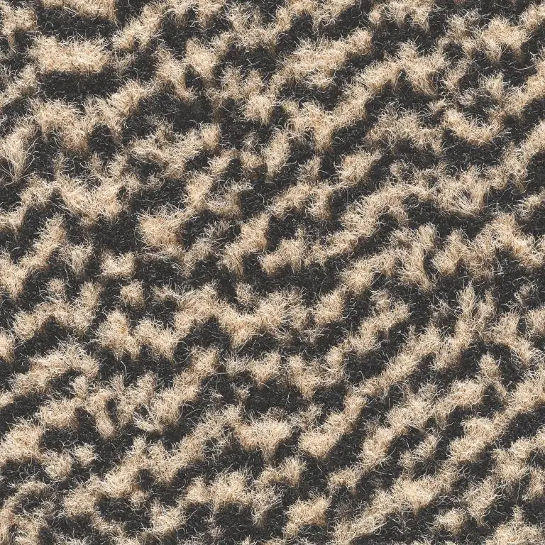 Fussmatte Mars beige, 60 x 80 cm