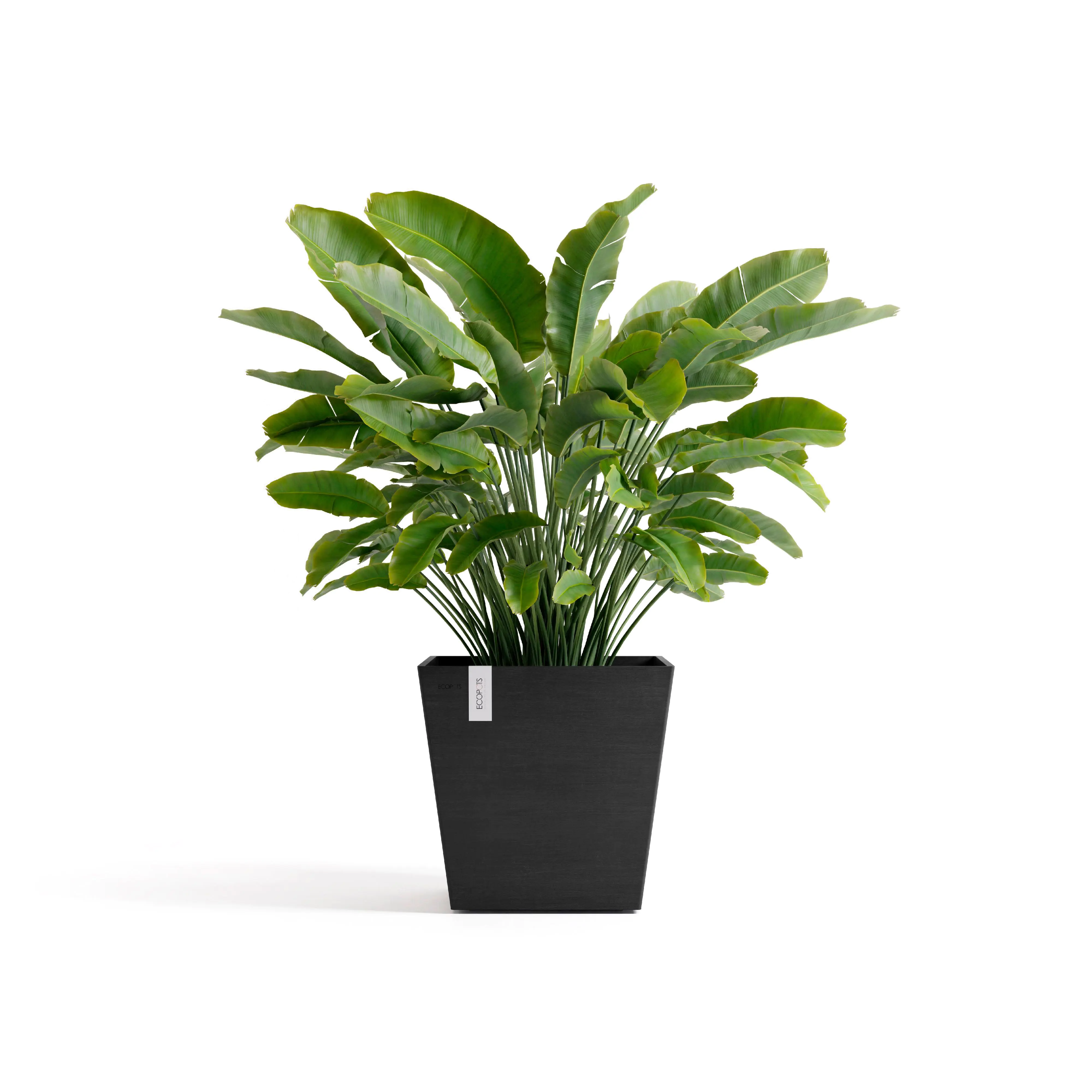 Ecopots Pflanztopf Rotterdam 45 x 45 x 44 cm dunkelgrau