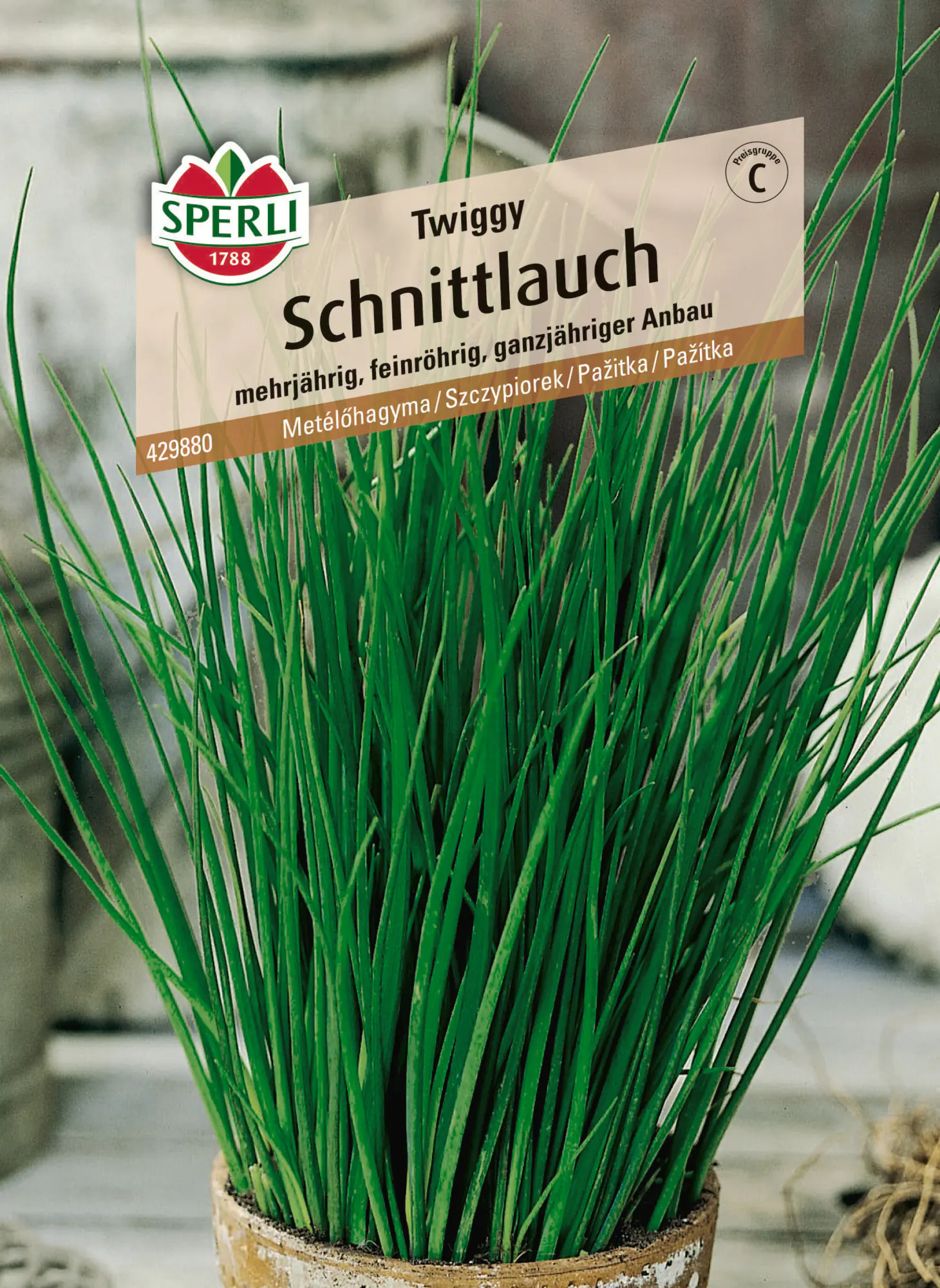 Sperli Saatgut Schnittlauch Twiggy für ca. 1 – 1,75 m²