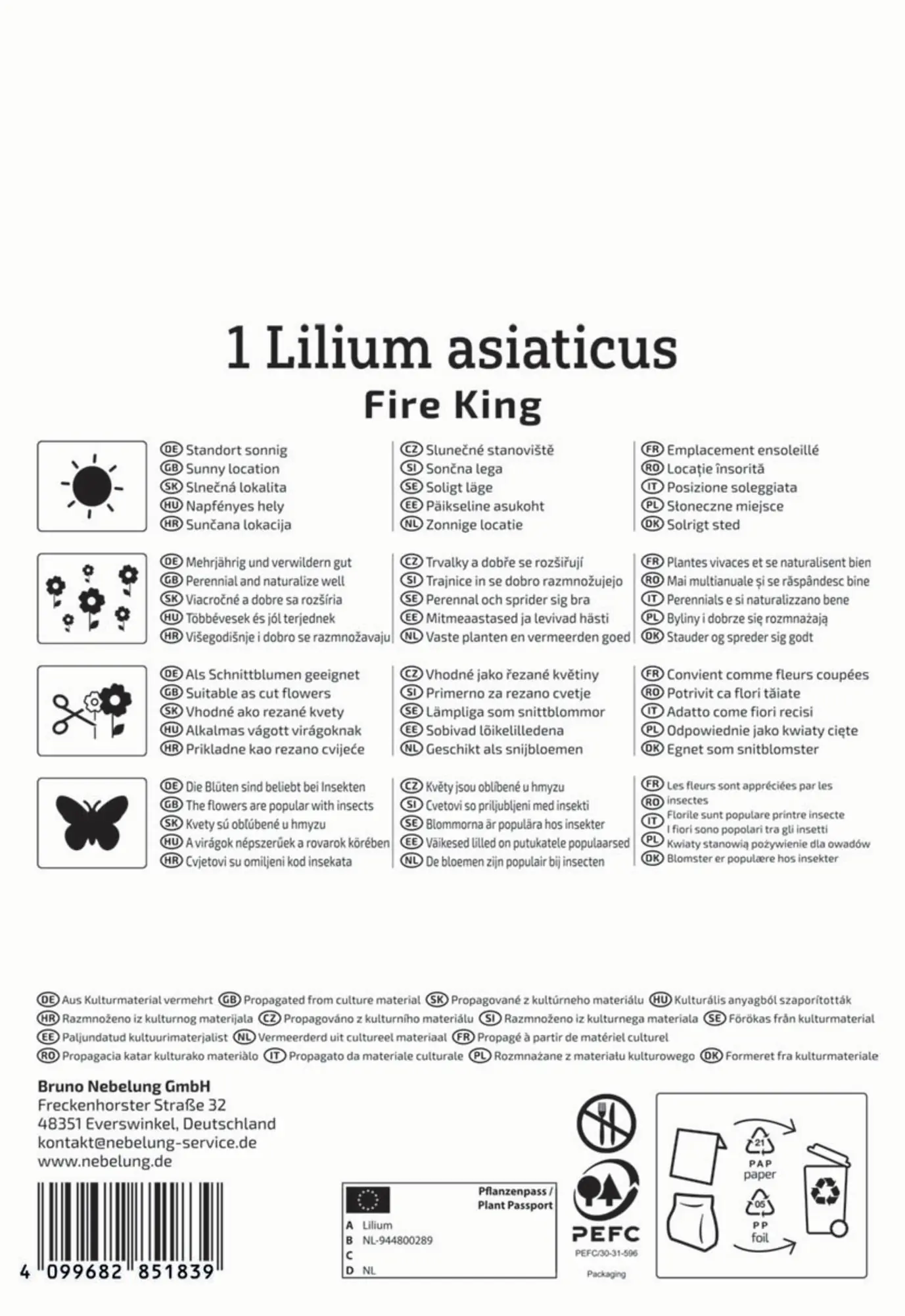 Kiepenkerl Herbstblumenzwiebel Profi-Line Asiatische Lilie Fire King 1 Stück