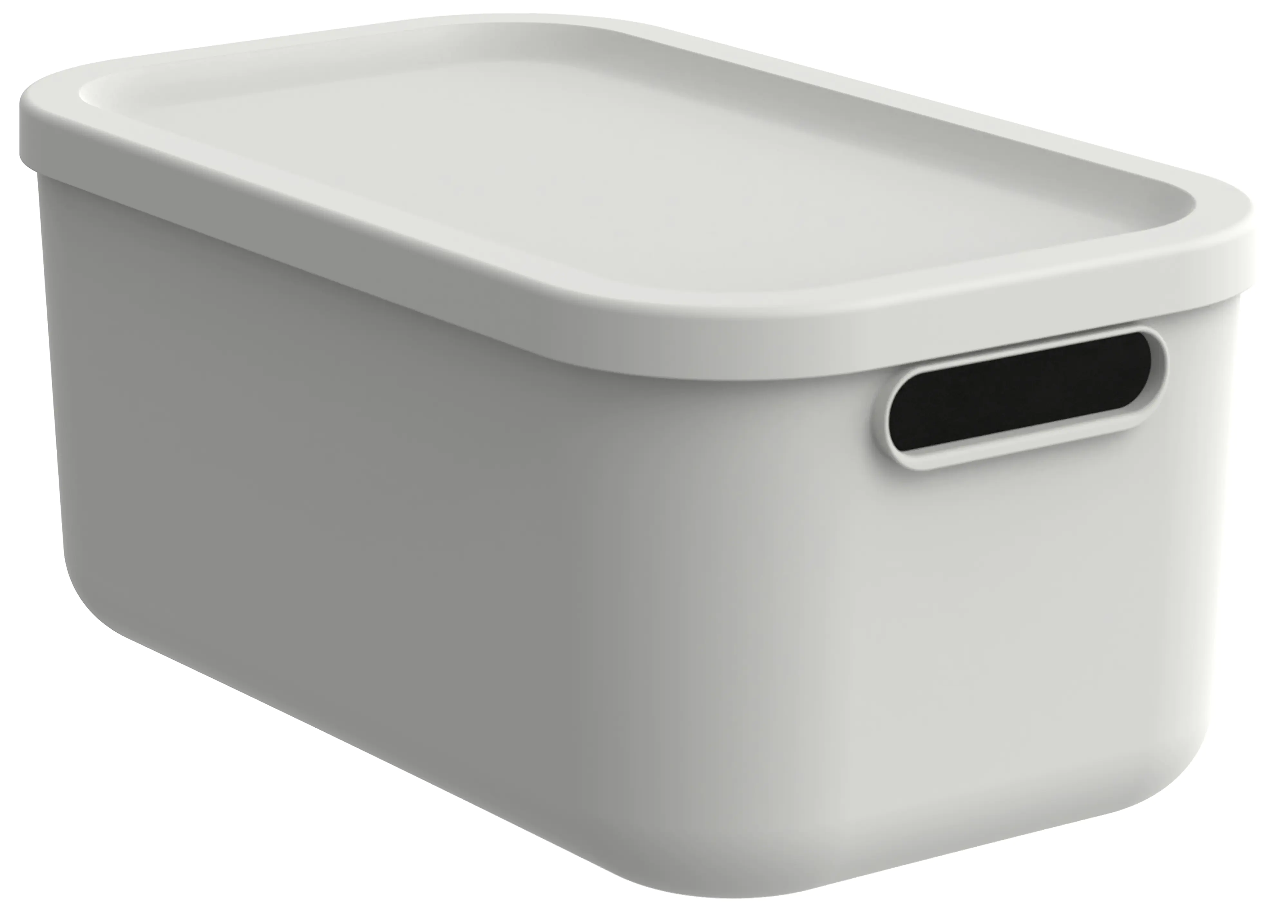 Rotho Aufbewahrungsbox Albula mit Deckel 17,5 x 39,5 cm 12 L weiß
