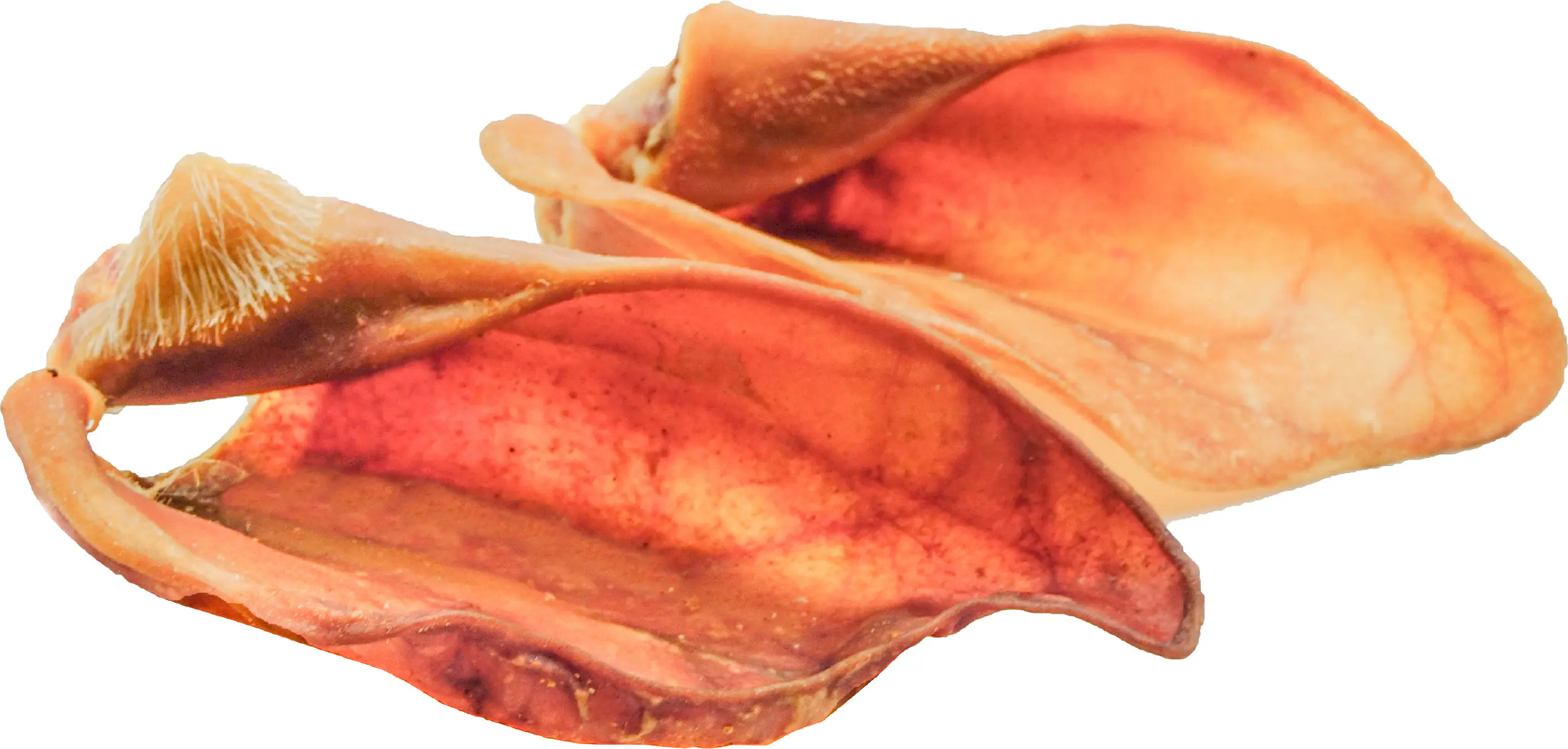 Mascota Vital Hunde-Kausnack Schweineohren 10 Stück