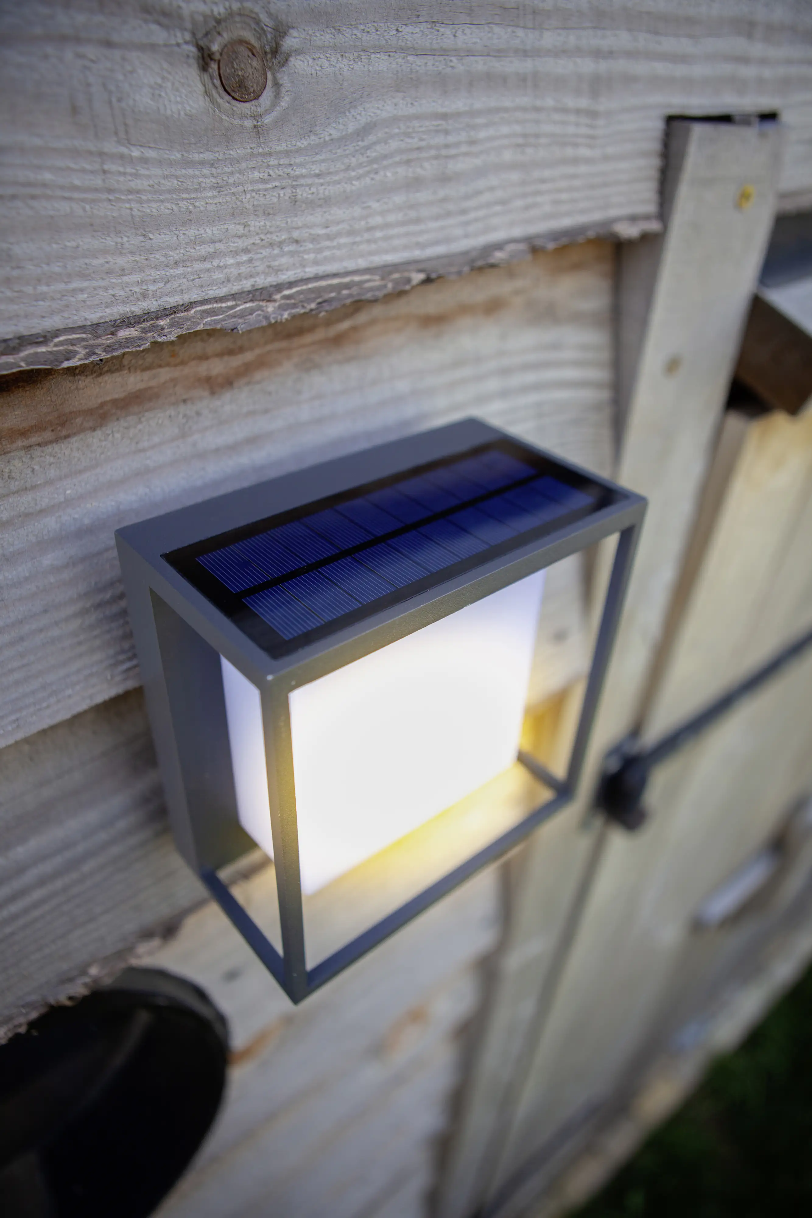 Lutec LED Außenleuchte Solar Curtis 3 W 19 x 16,5 cm Bewegungsmelder