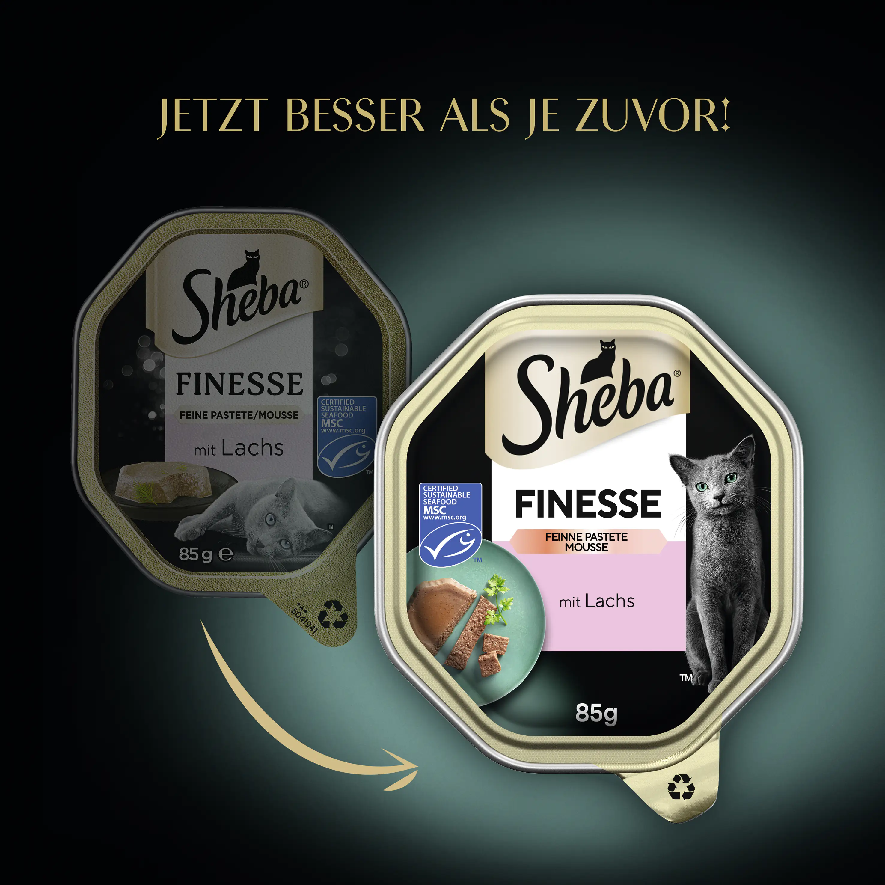 Sheba Finesse Katzennassfutter Adult 85 g Feine Pastete mit Lachs