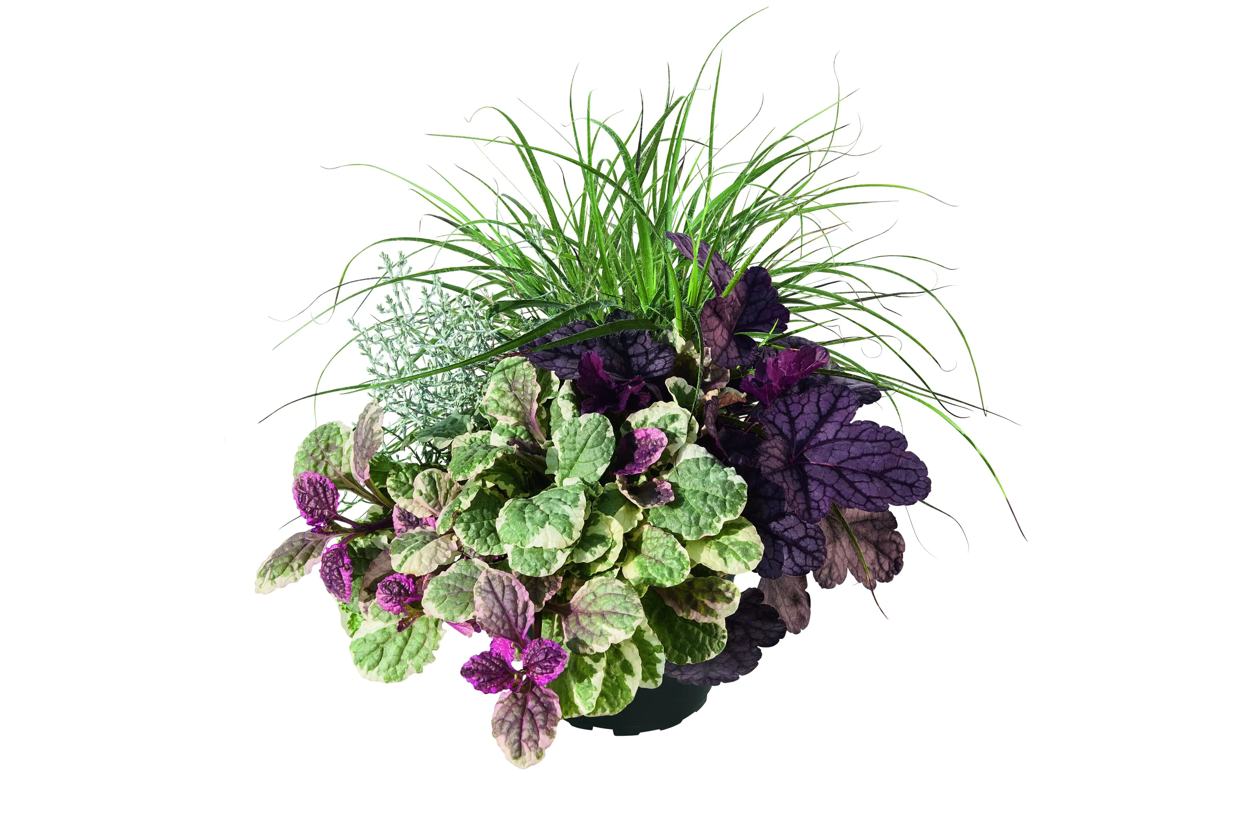 Trio-Mio Herbstzauber 5 l Container