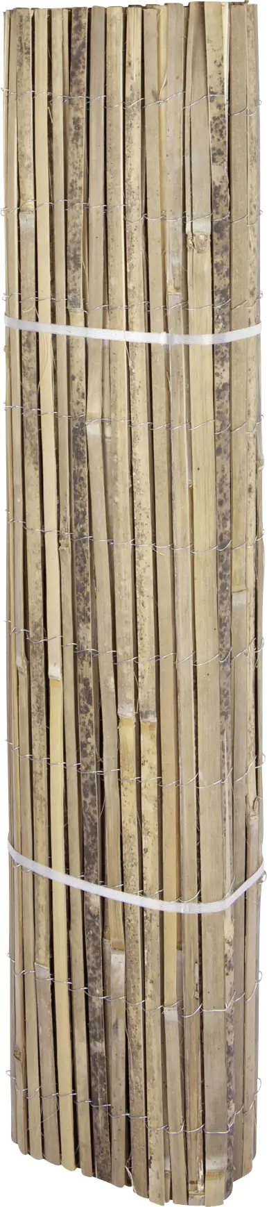 Windhager Sichtschutzmatte Mitake 200 x 300 cm
