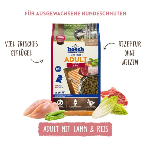 Bosch Hundetrockenfutter Adult 3 kg Lamm & Reis 