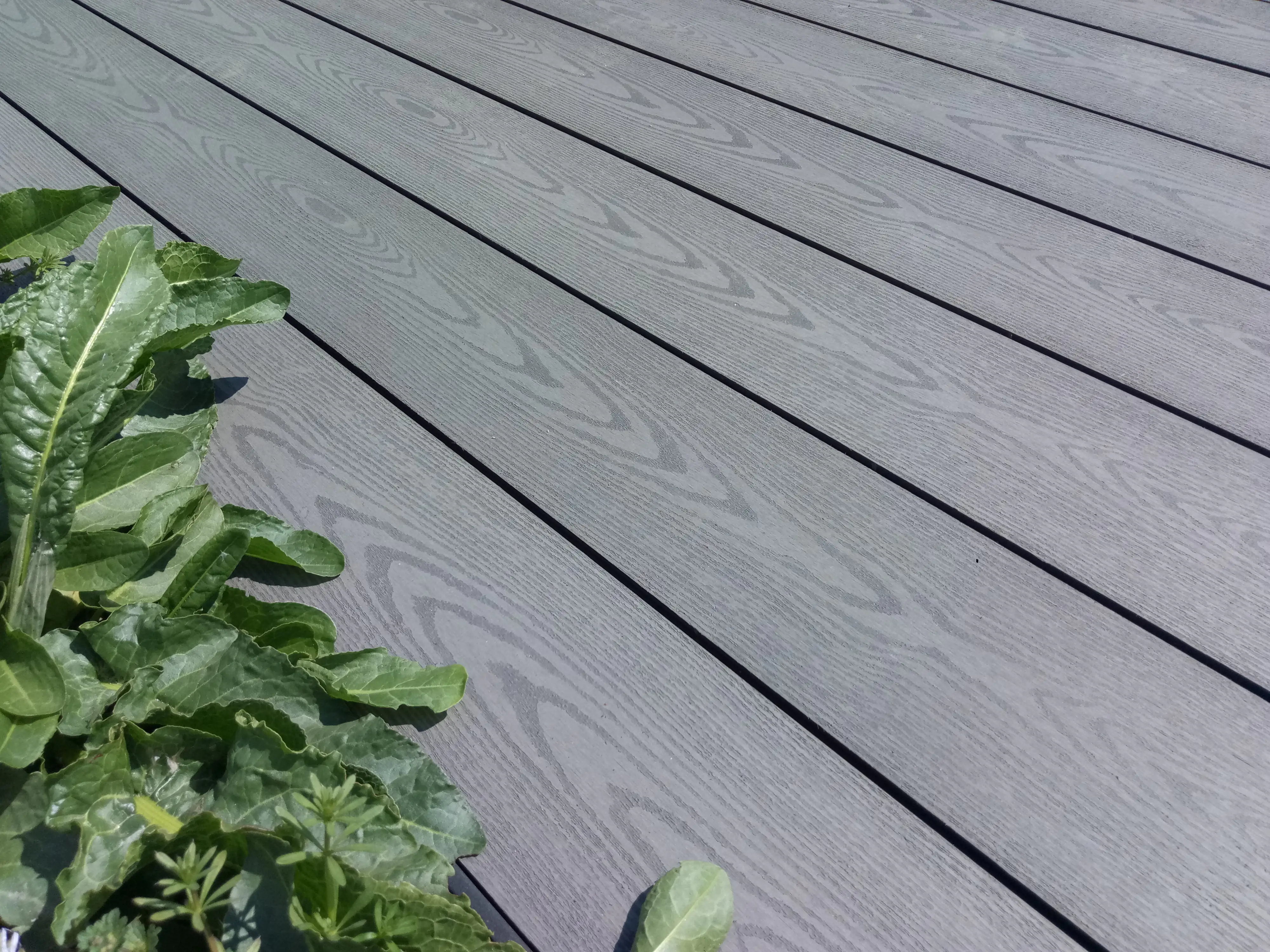 TrendLine Terrassendiele WPC 300 x 14,5 x 2,1 cm grau glatt