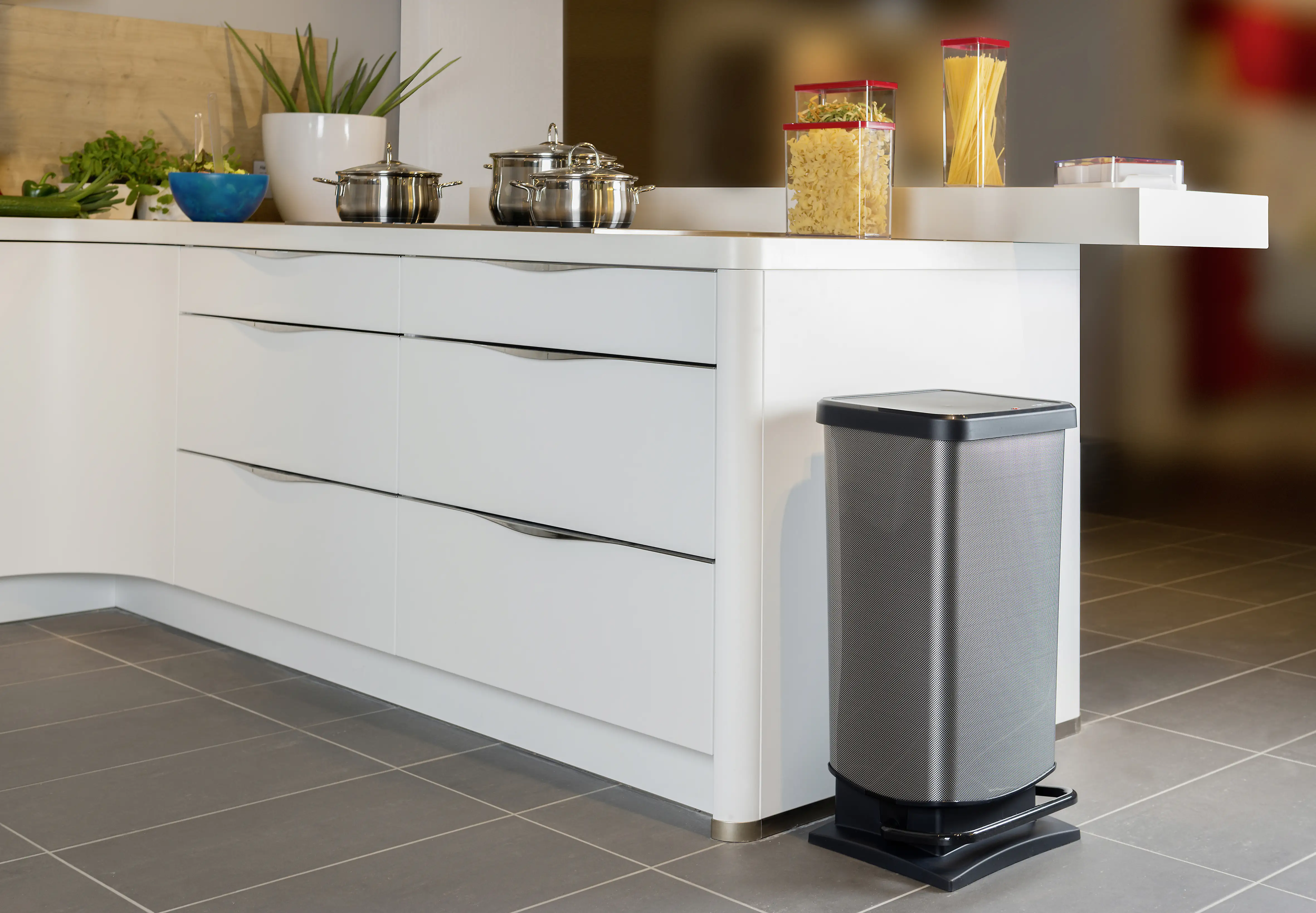 Rotho Treteimer Paso 40 L Dekor carbon