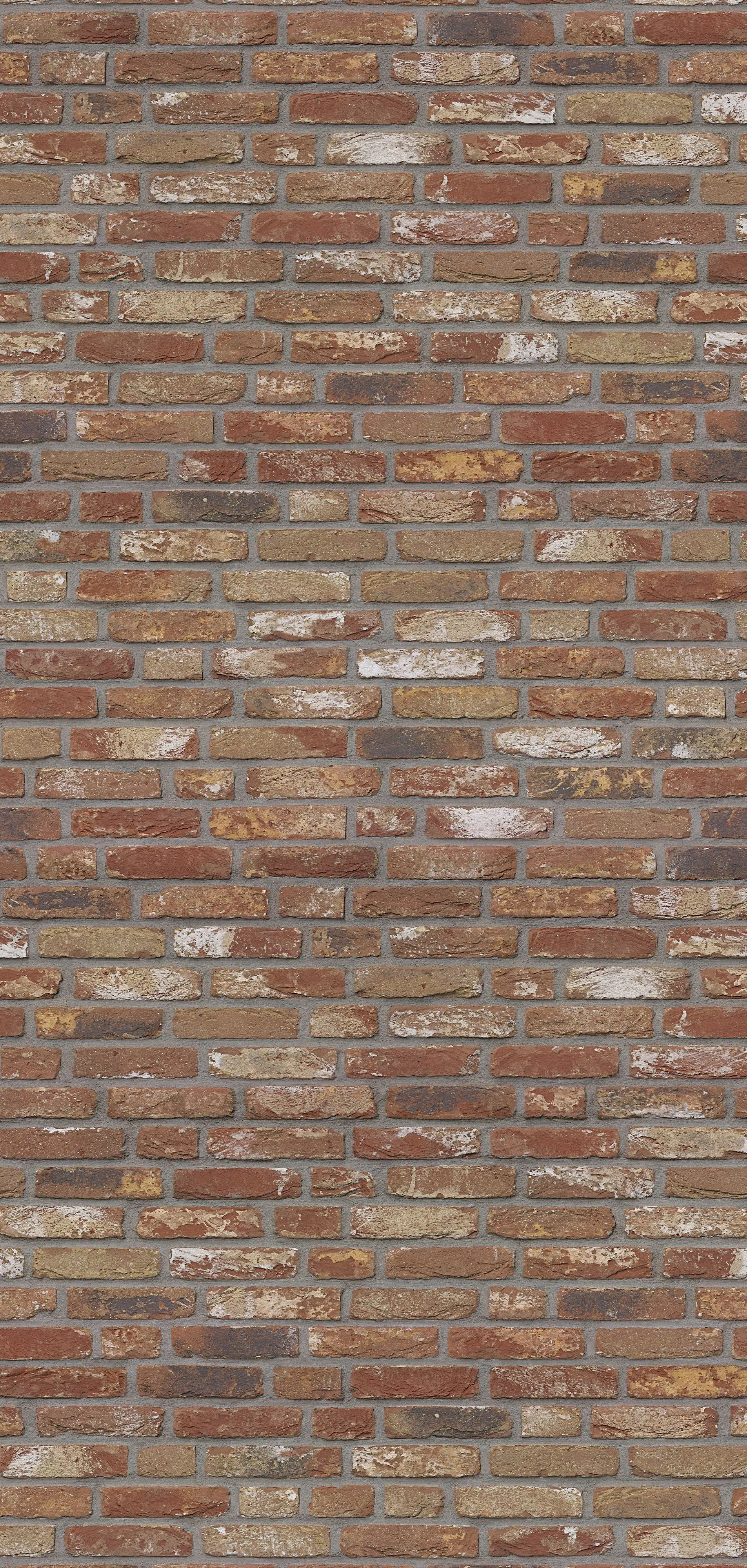 Schulte Duschrückwand Klinker 100 x 255 cm