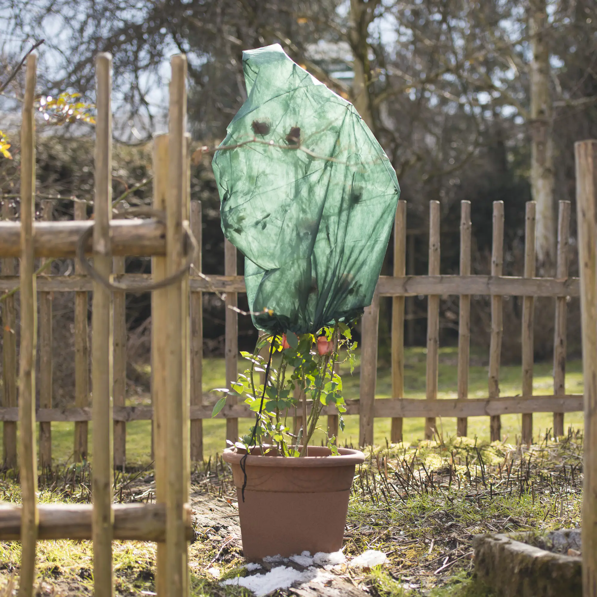 Windhager Rosenvlies-Haube 0,75 x 1 m, grün, 3 Stück