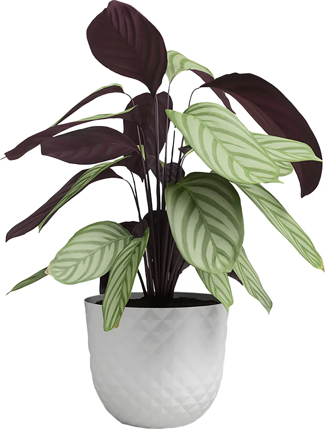 Artevasi Pflanztopf Havana Tropical Kunststoff granit weiß matt Ø 40 x 33 cm