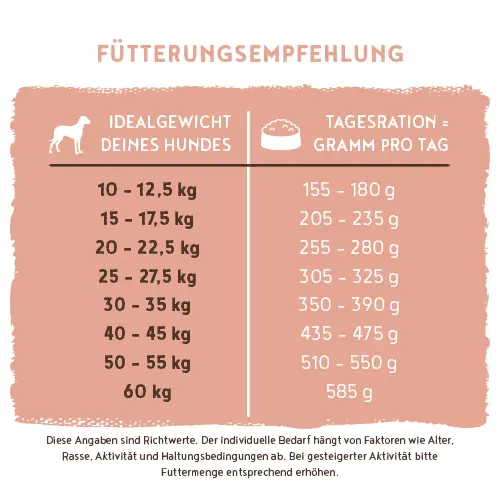 Bosch Hundetrockenfutter Adult 1 kg Lachs & Kartoffel 