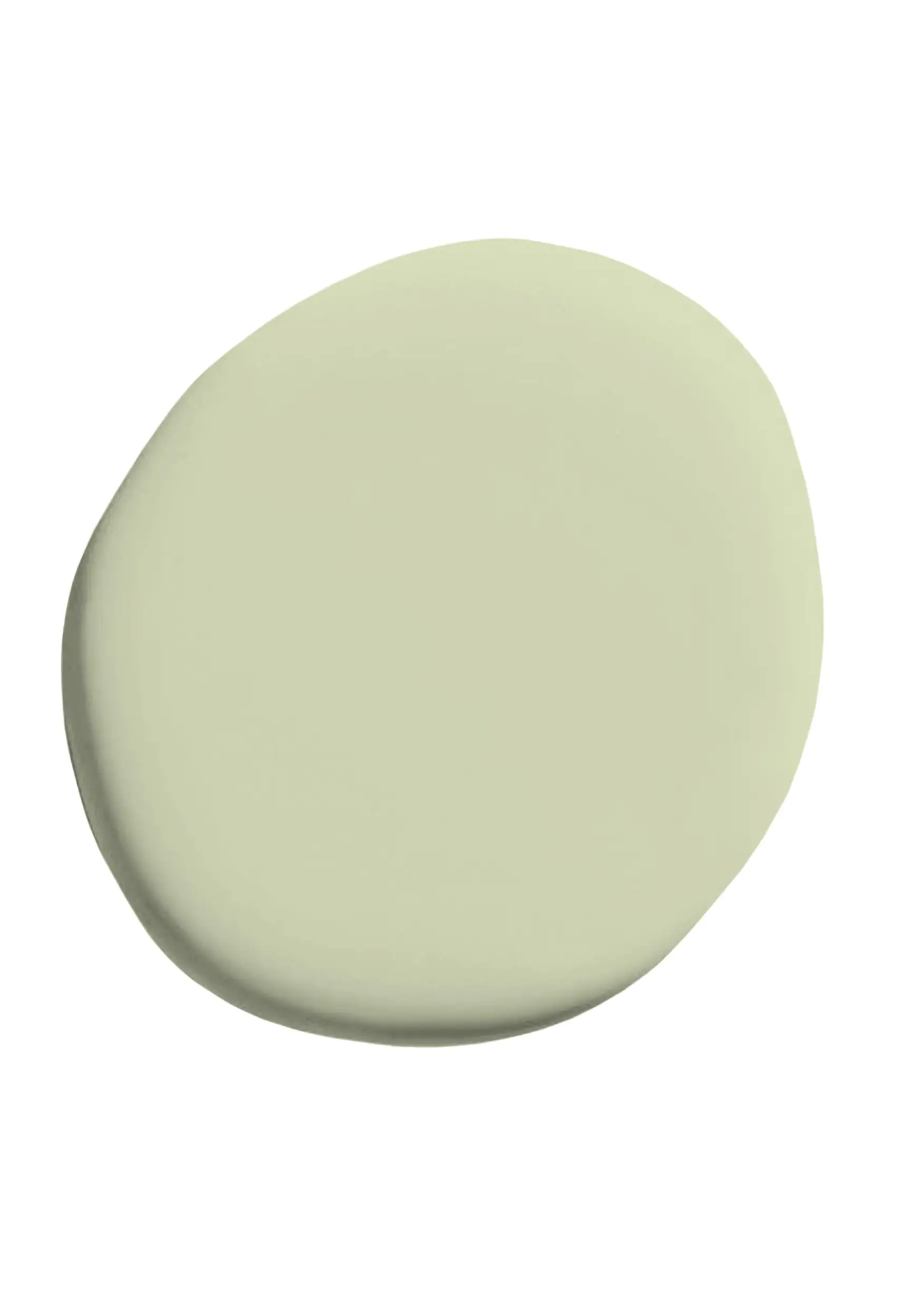 Alpina Pure Farben Wandfarbe pistaziengrün 2,5 L