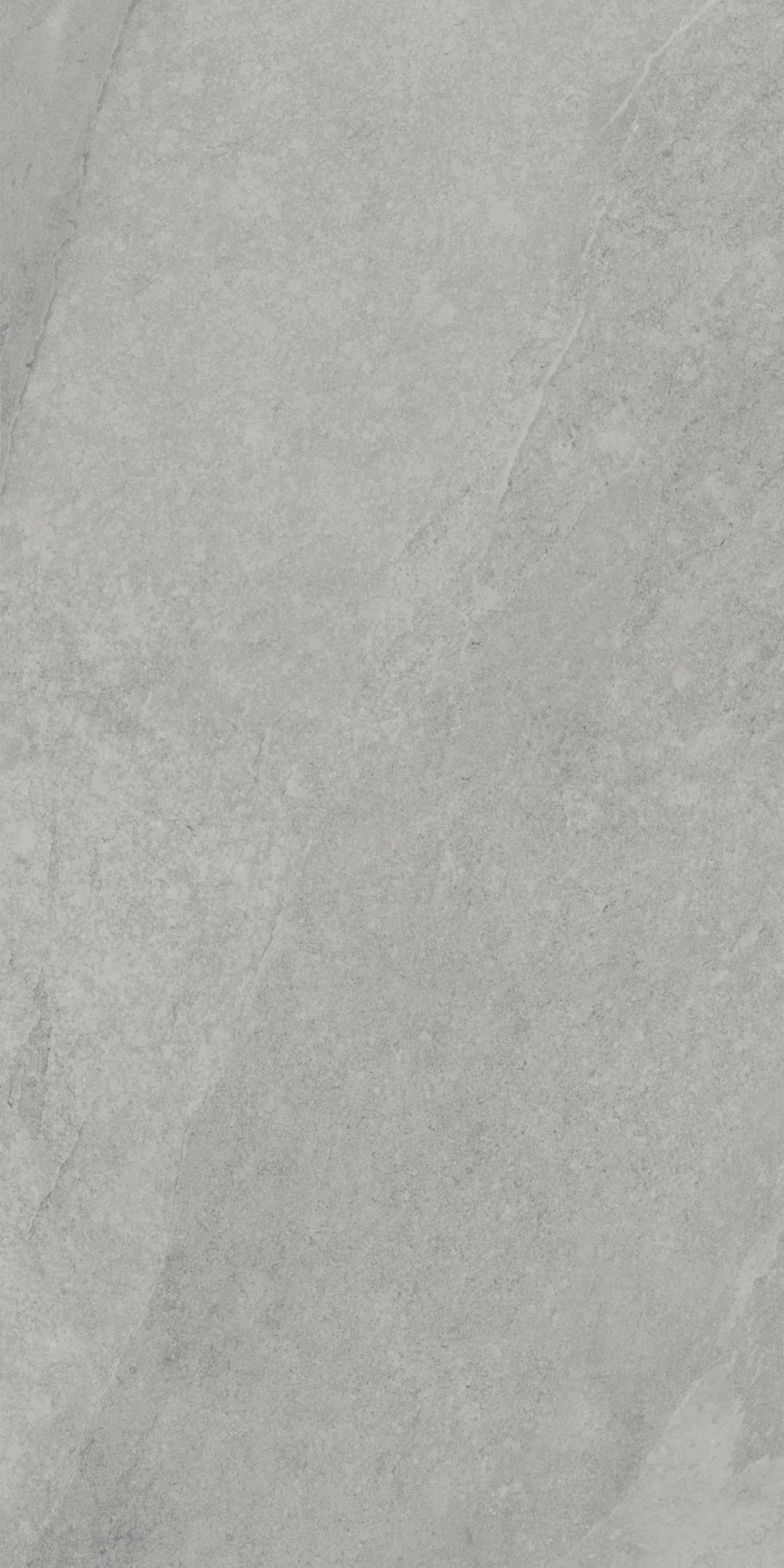 Terrassenplatte Feinsteinzeug Concept grigio 60 x 120 x 2 cm grau