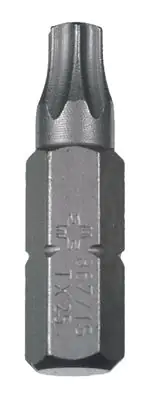 Connex Schraubeinsatz TX 15 2 Stück 25 mm