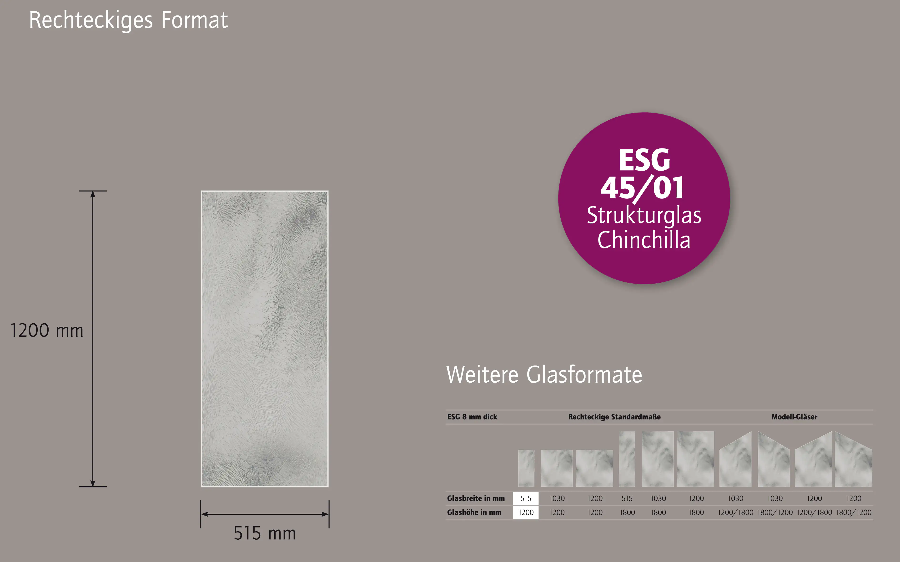 Ambiente Glaszaun B x H: 51,5 cm x 120 cm, gehärtetes 8 mm Glas