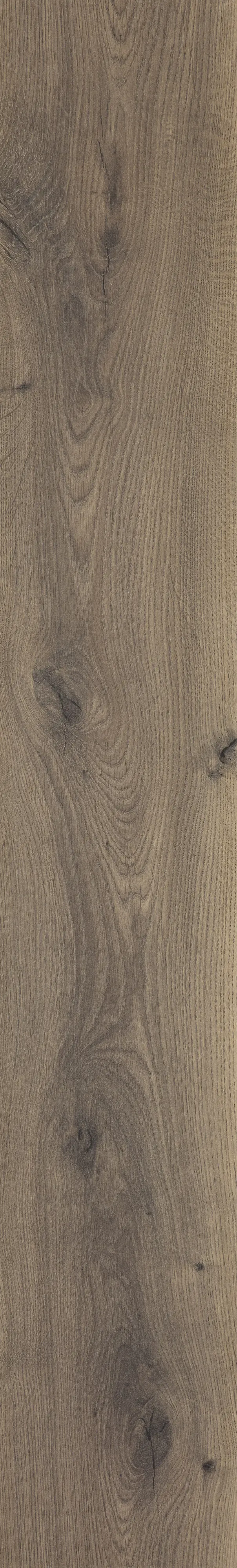Classen Laminat Megaloc Aquaprotect 128,5 x 19,2 cm 8 mm Eiche braun mix